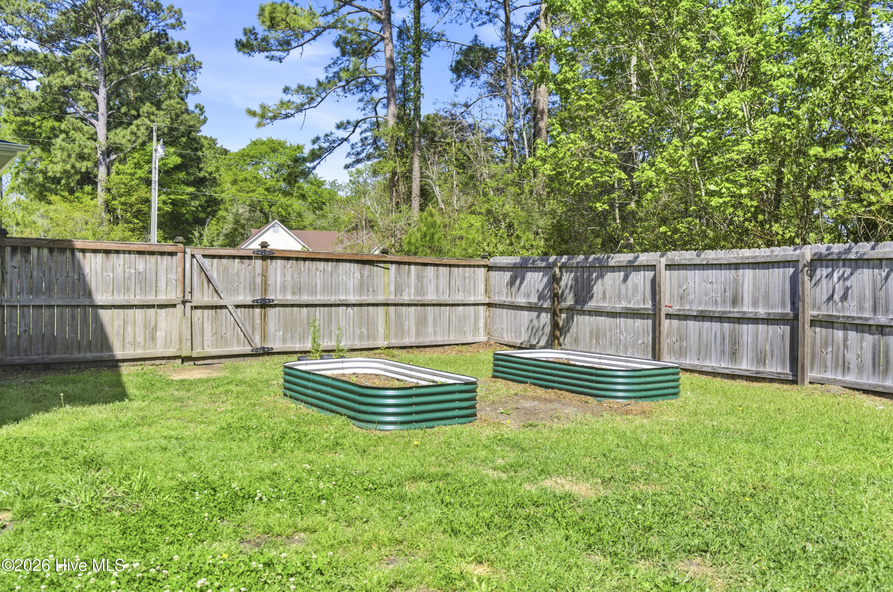 100566364 | Photo 51