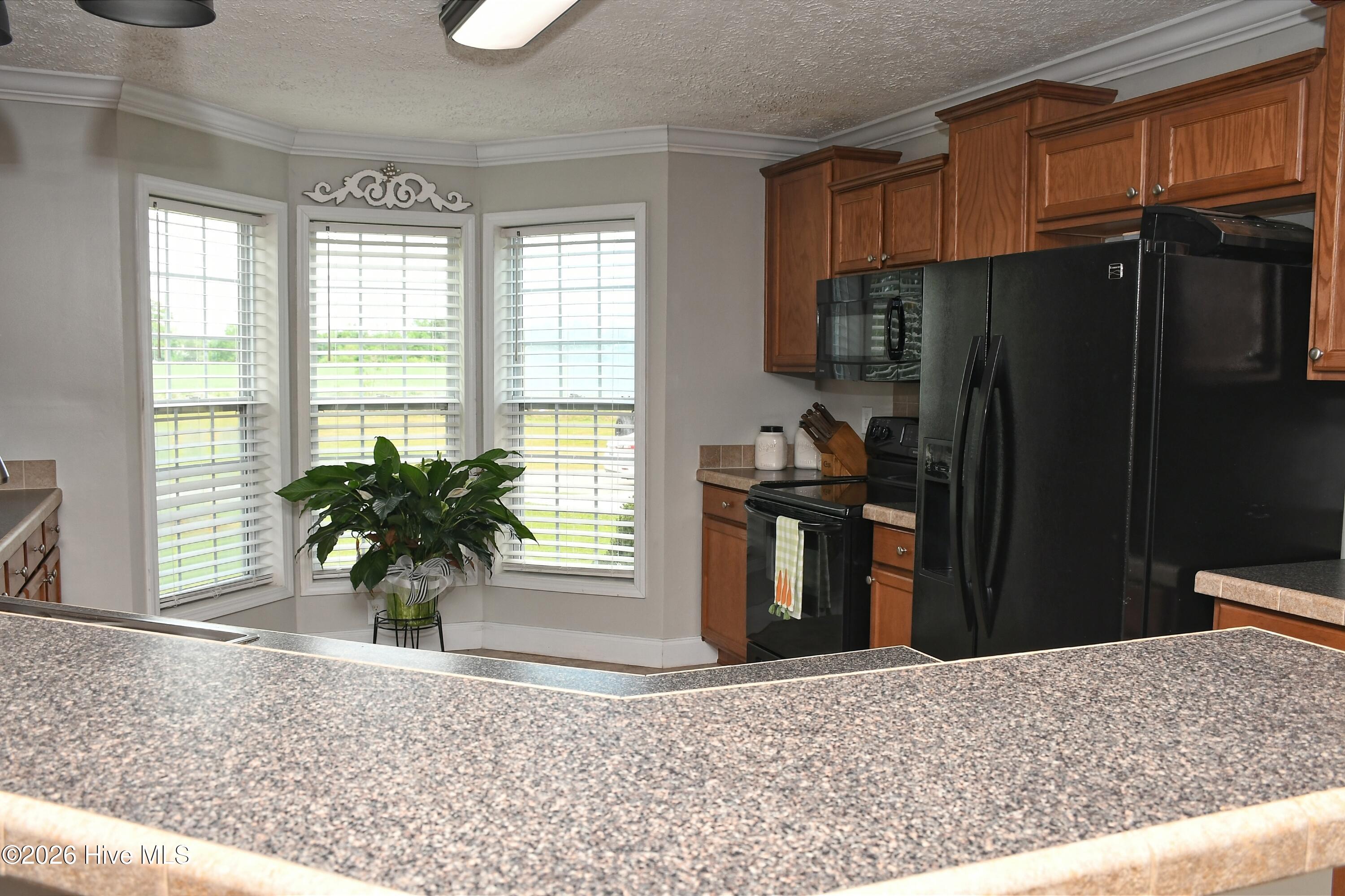 100565846 | Photo 15