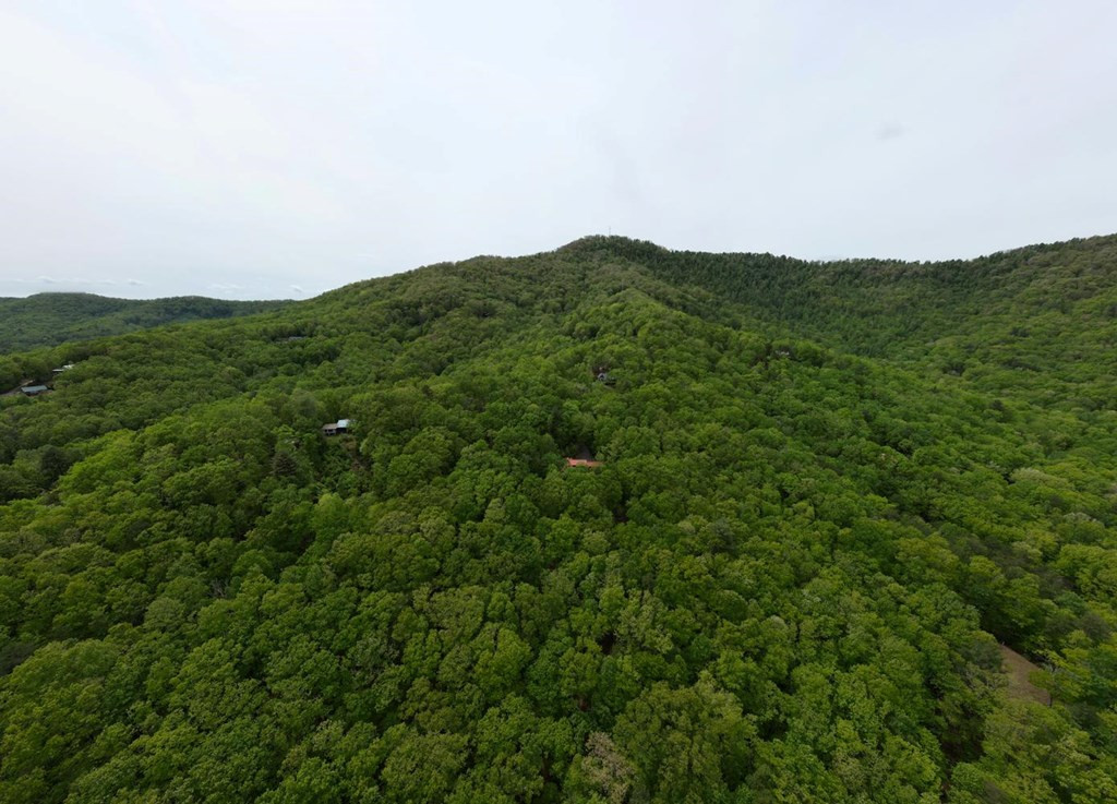 529 Talulu Pass, Murphy, NC 28906 Listing Photo  57