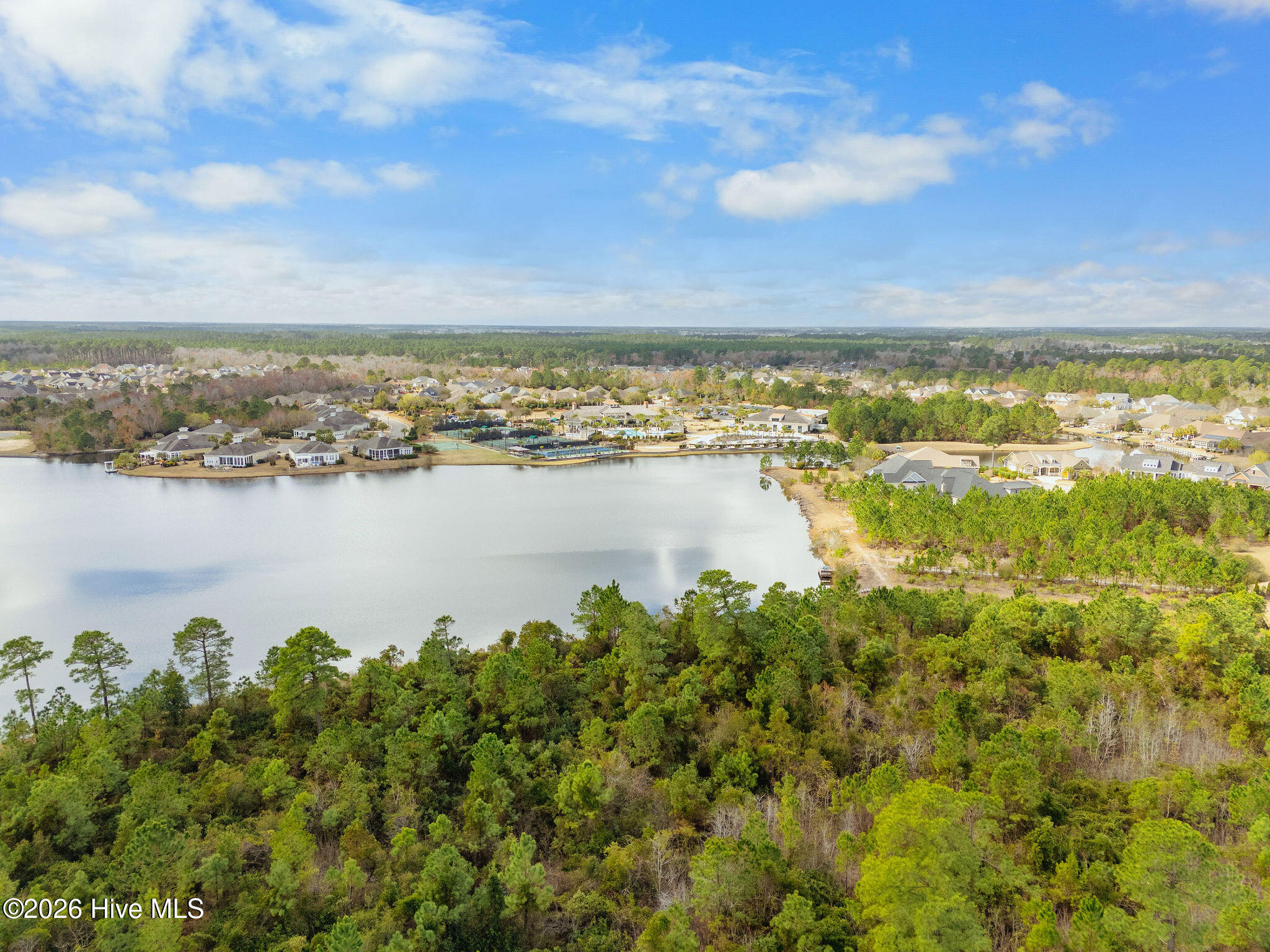 100565690 | Photo 66