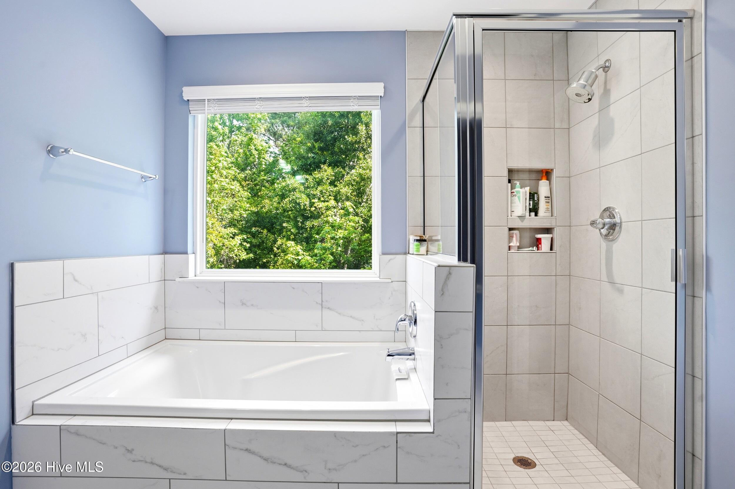 100570398 | Photo 18