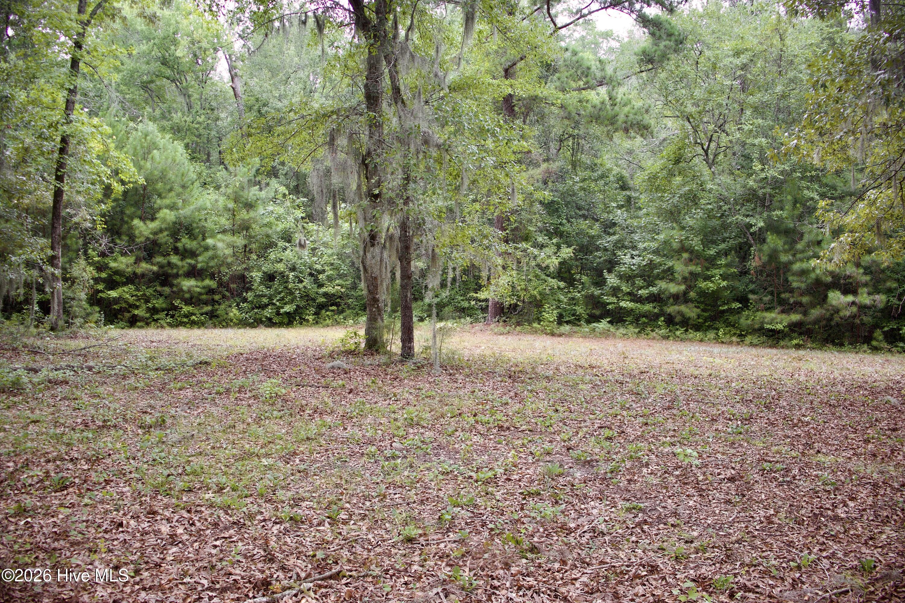 385 Sand Ridge Road,New Bern