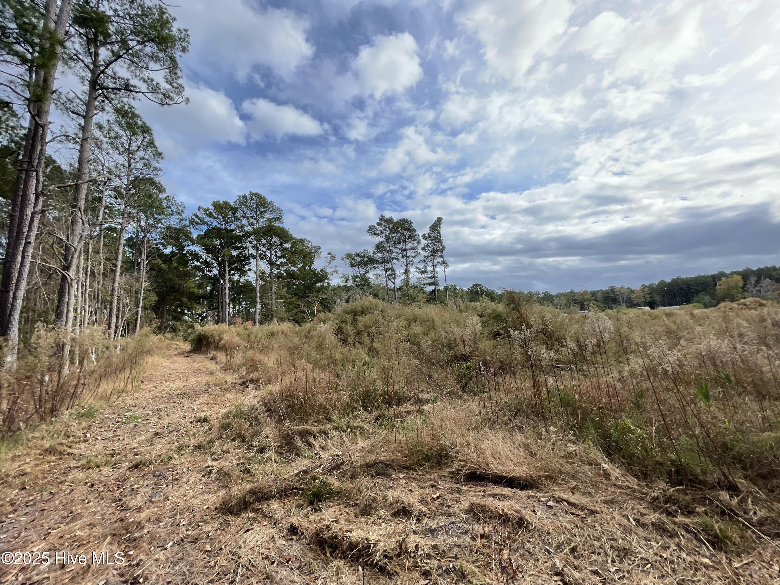 100496584 | Photo 19