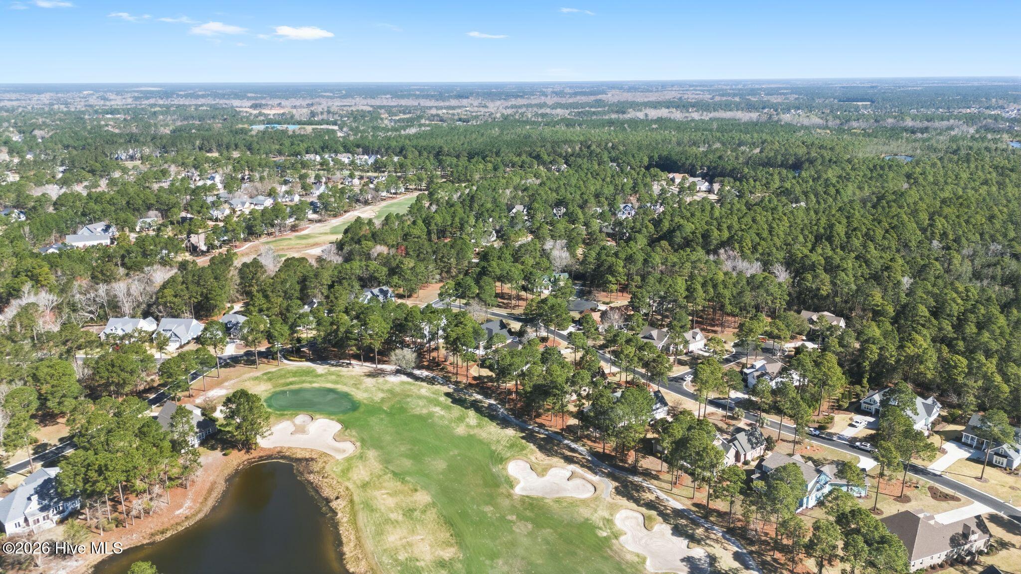 100564432 | Photo 100