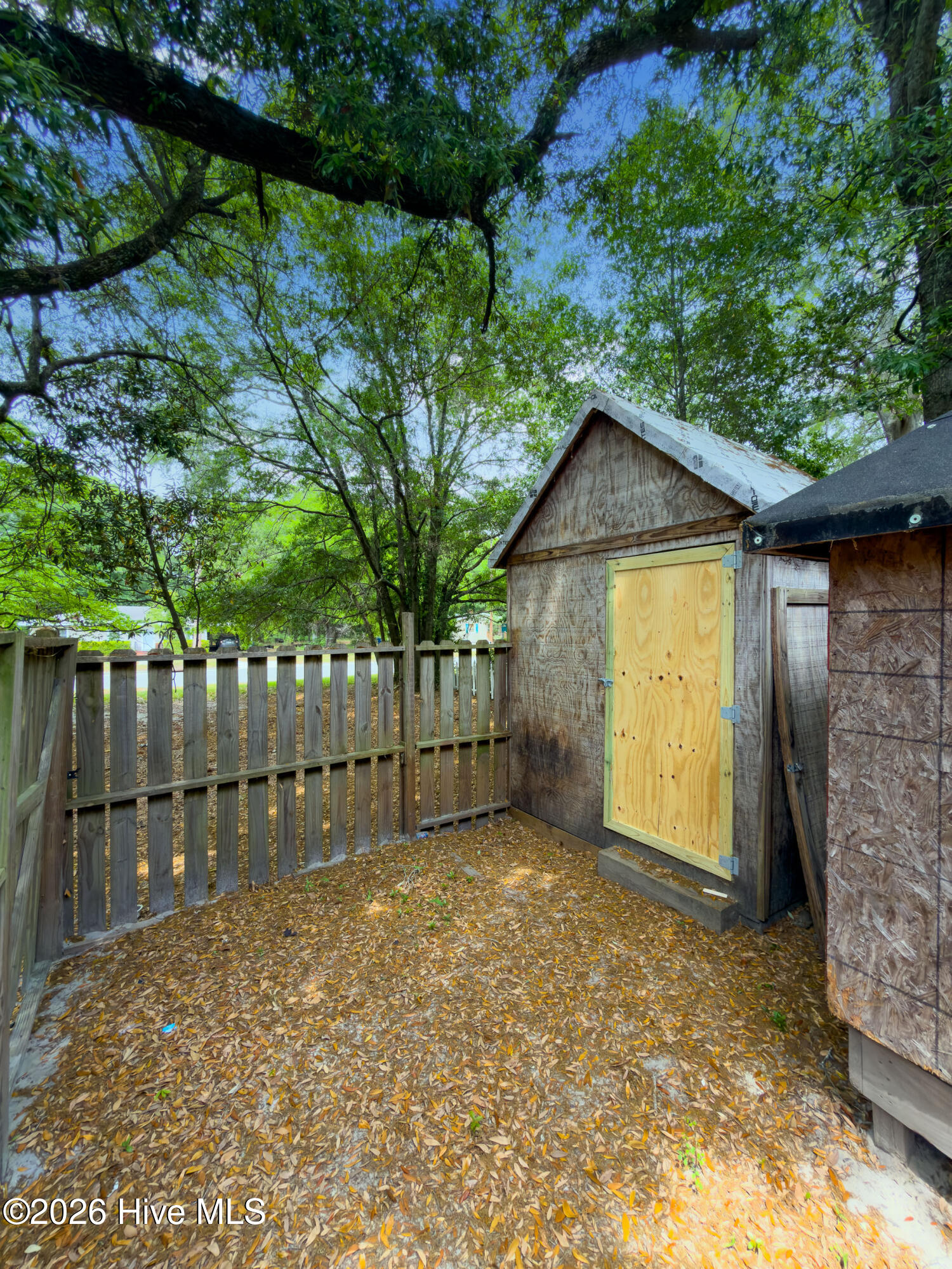 100568677 | Photo 25