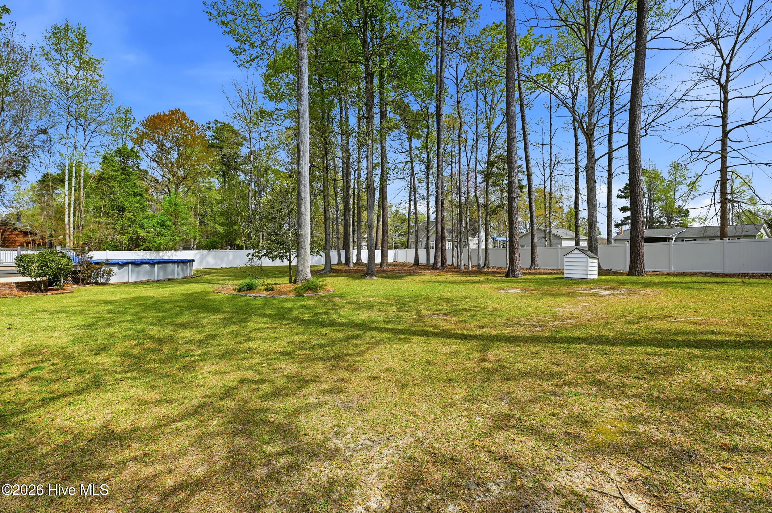 100562256 | Photo 40