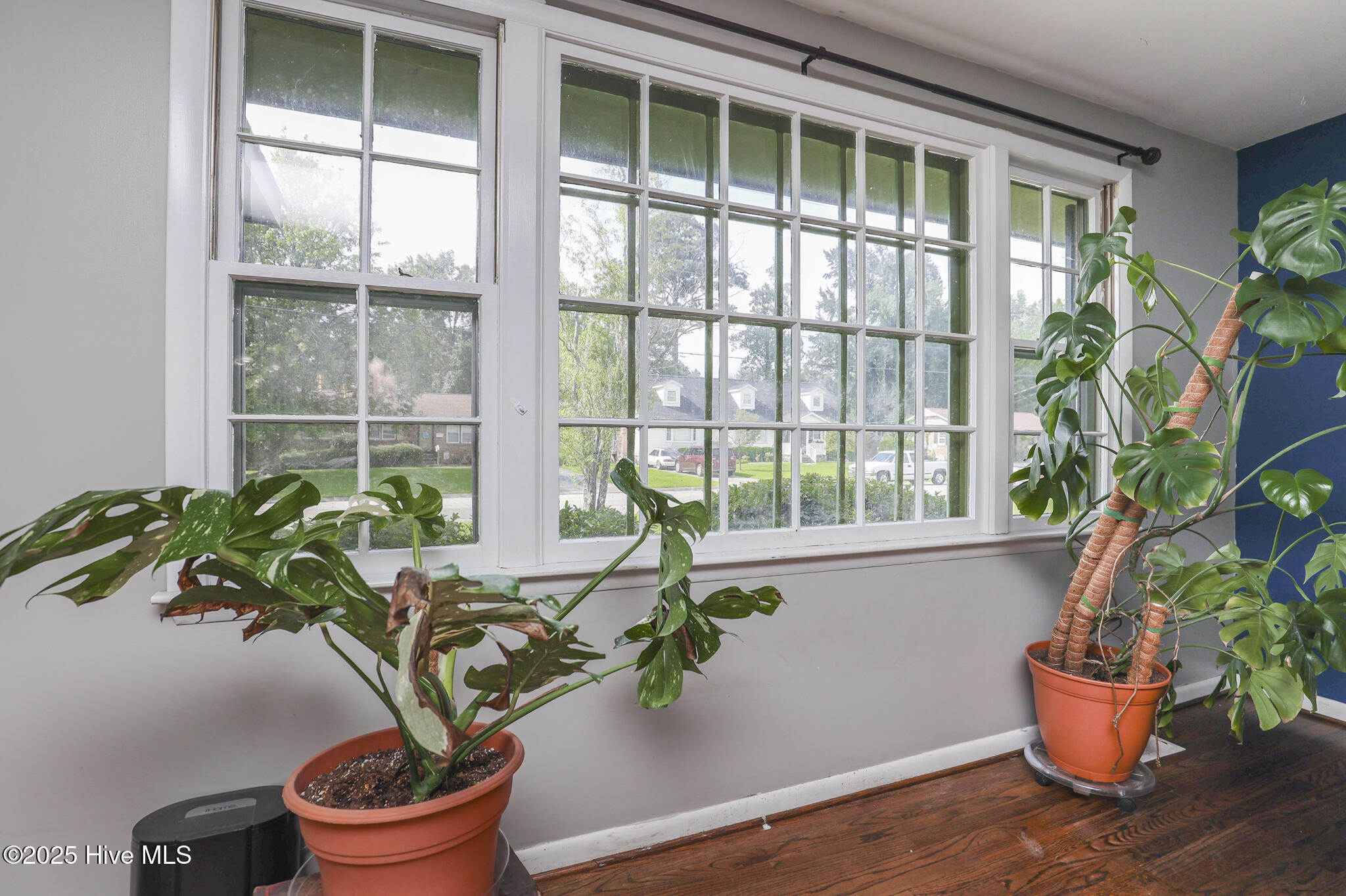 100524871 | Photo 10