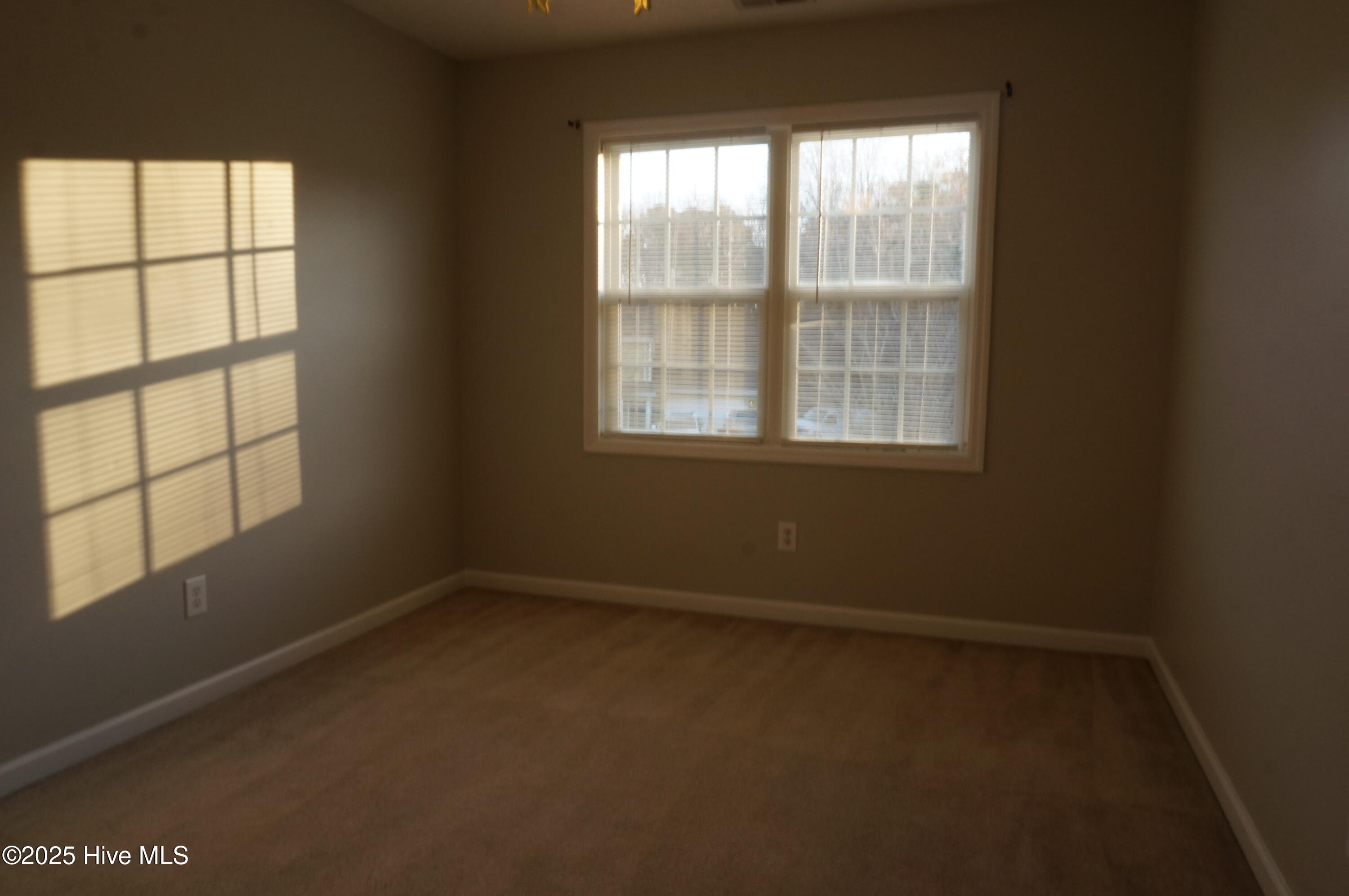 100546004 | Photo 31