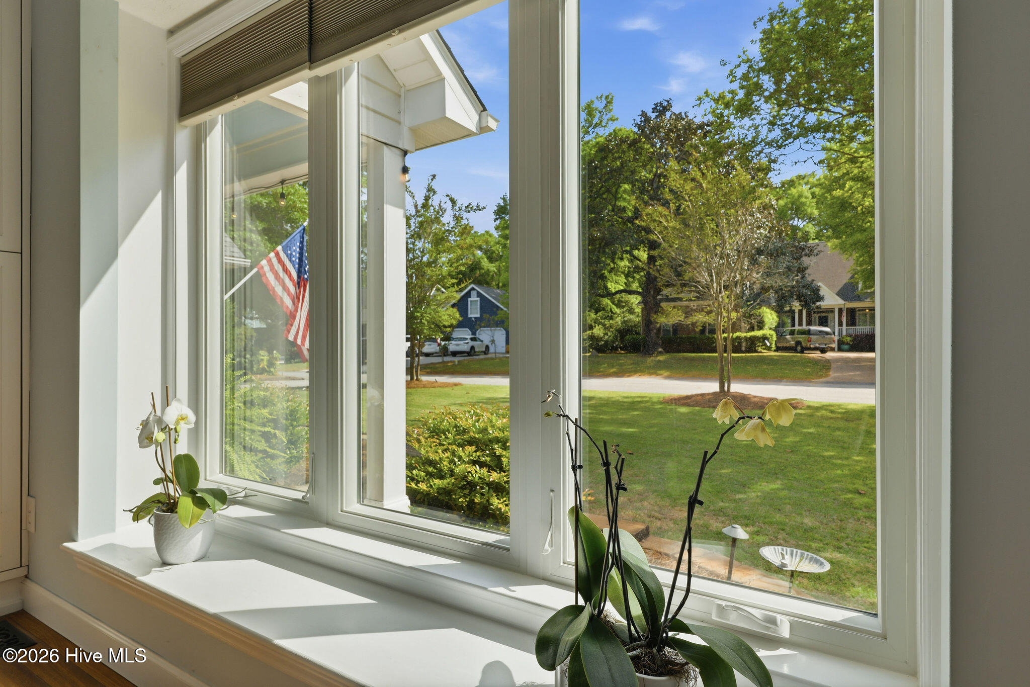 100567317 | Photo 20