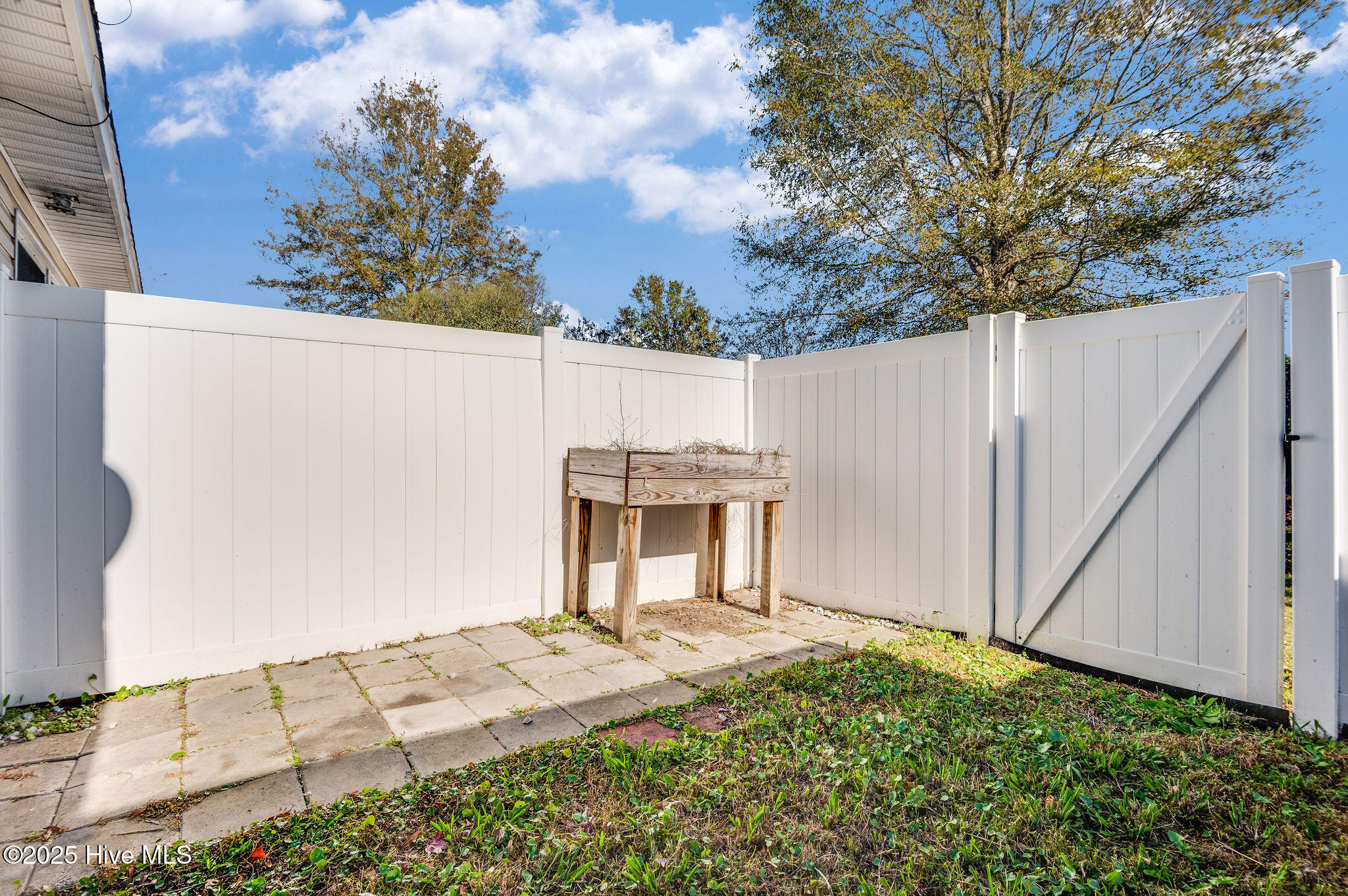 100541408 | Photo 32