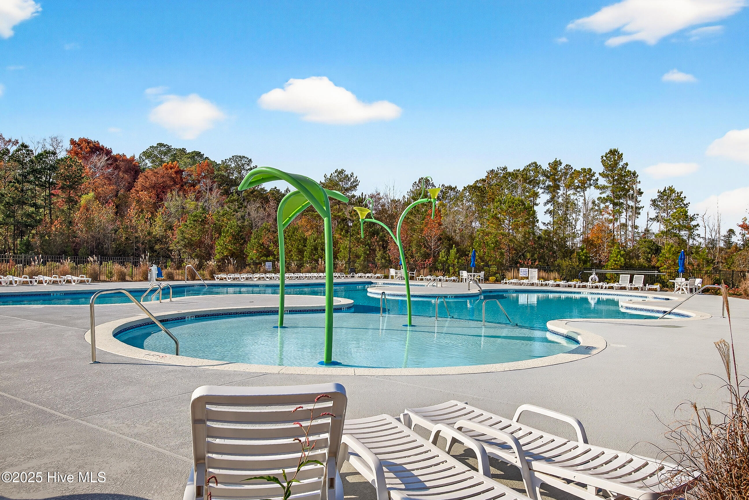 100542531 | Photo 44