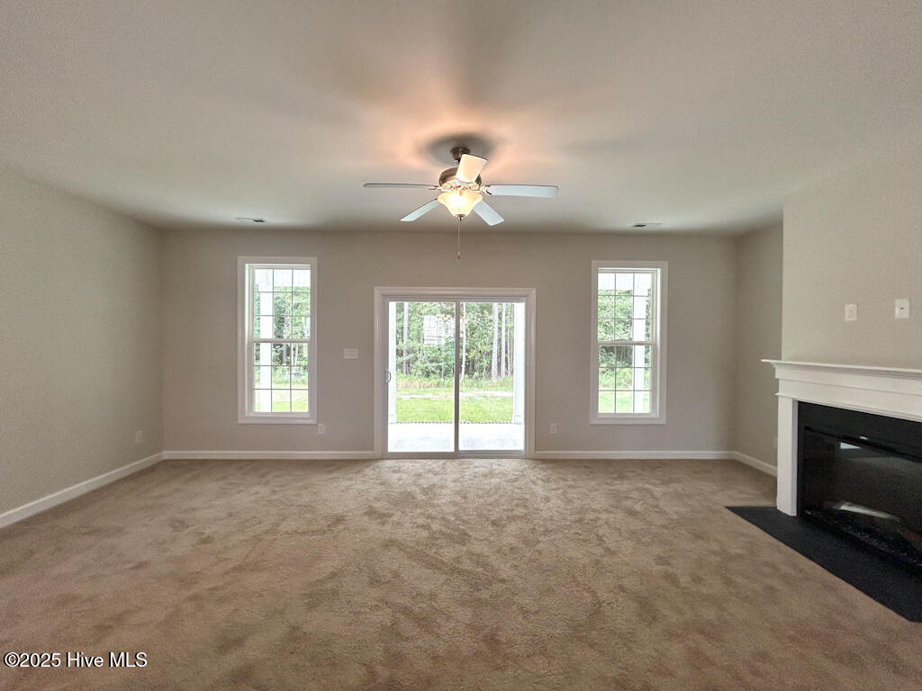 100513411 | Photo 27