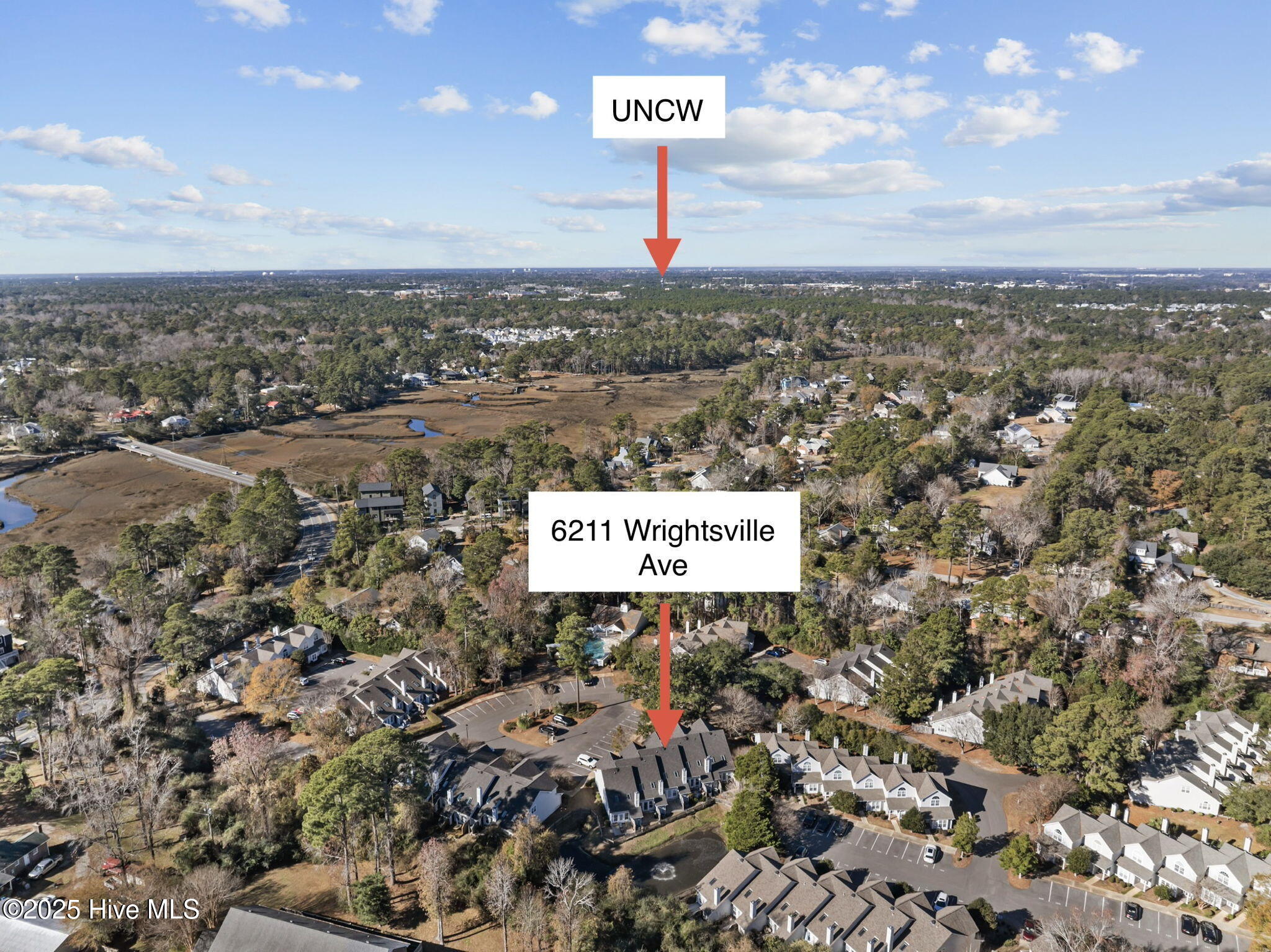 100546041 | Photo 40