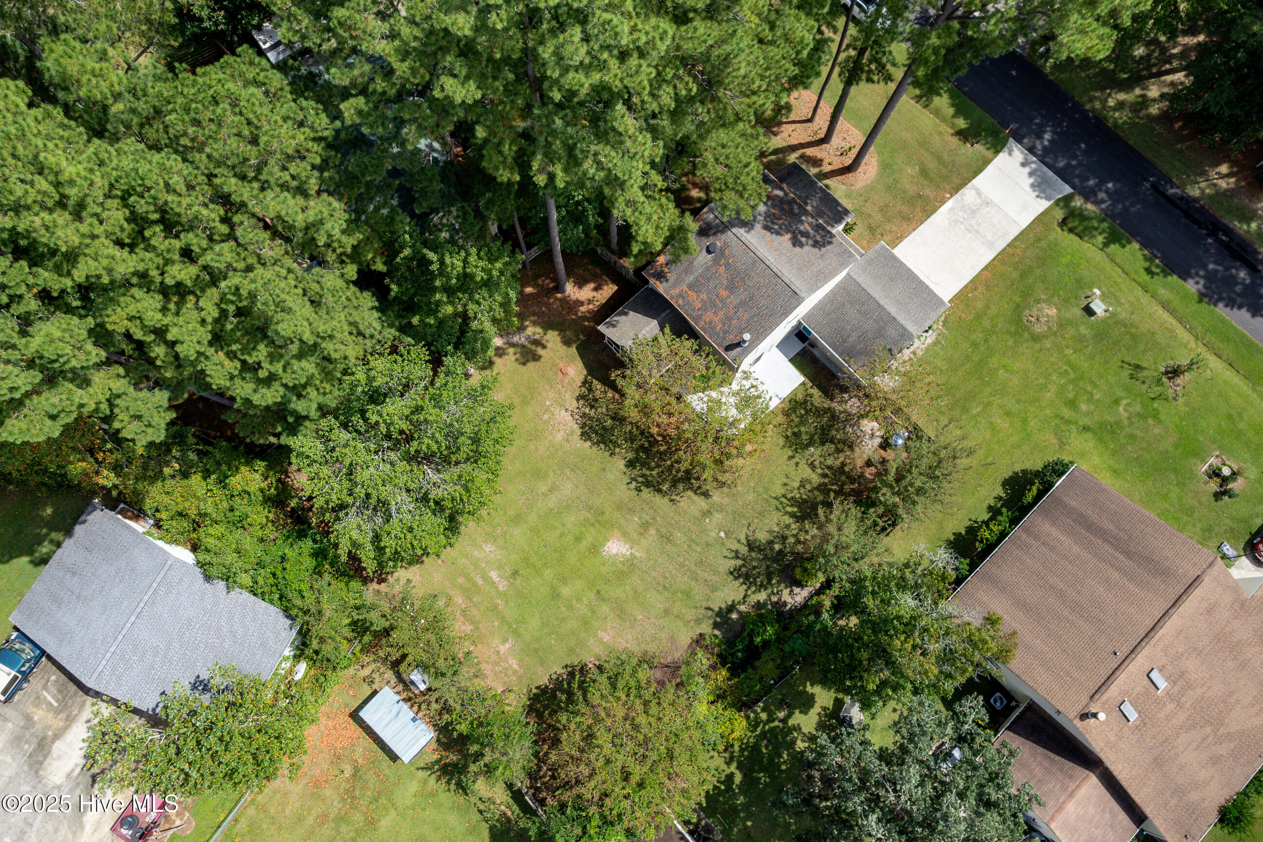 100531663 | Photo 45