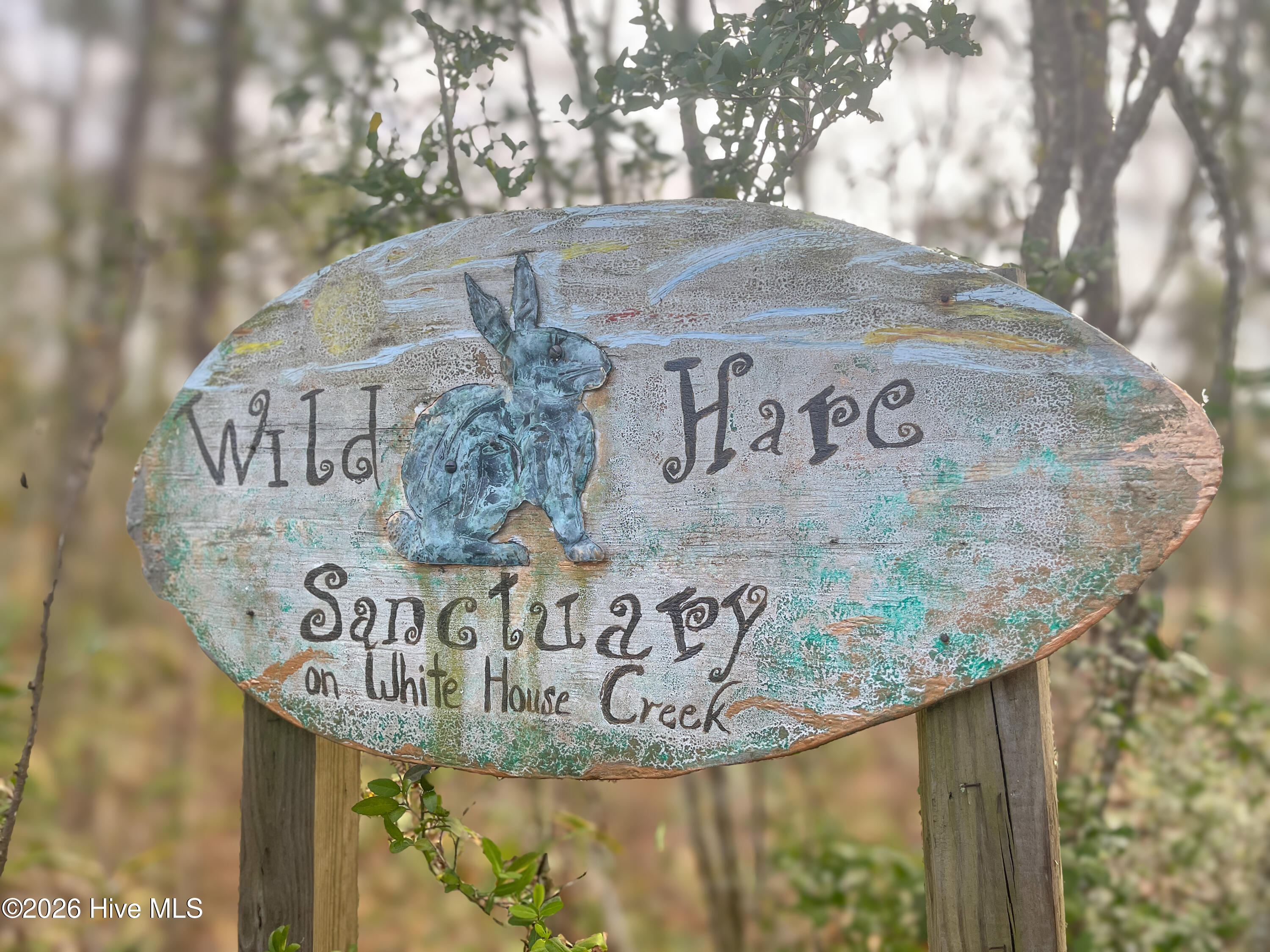 100557904 | Photo 26