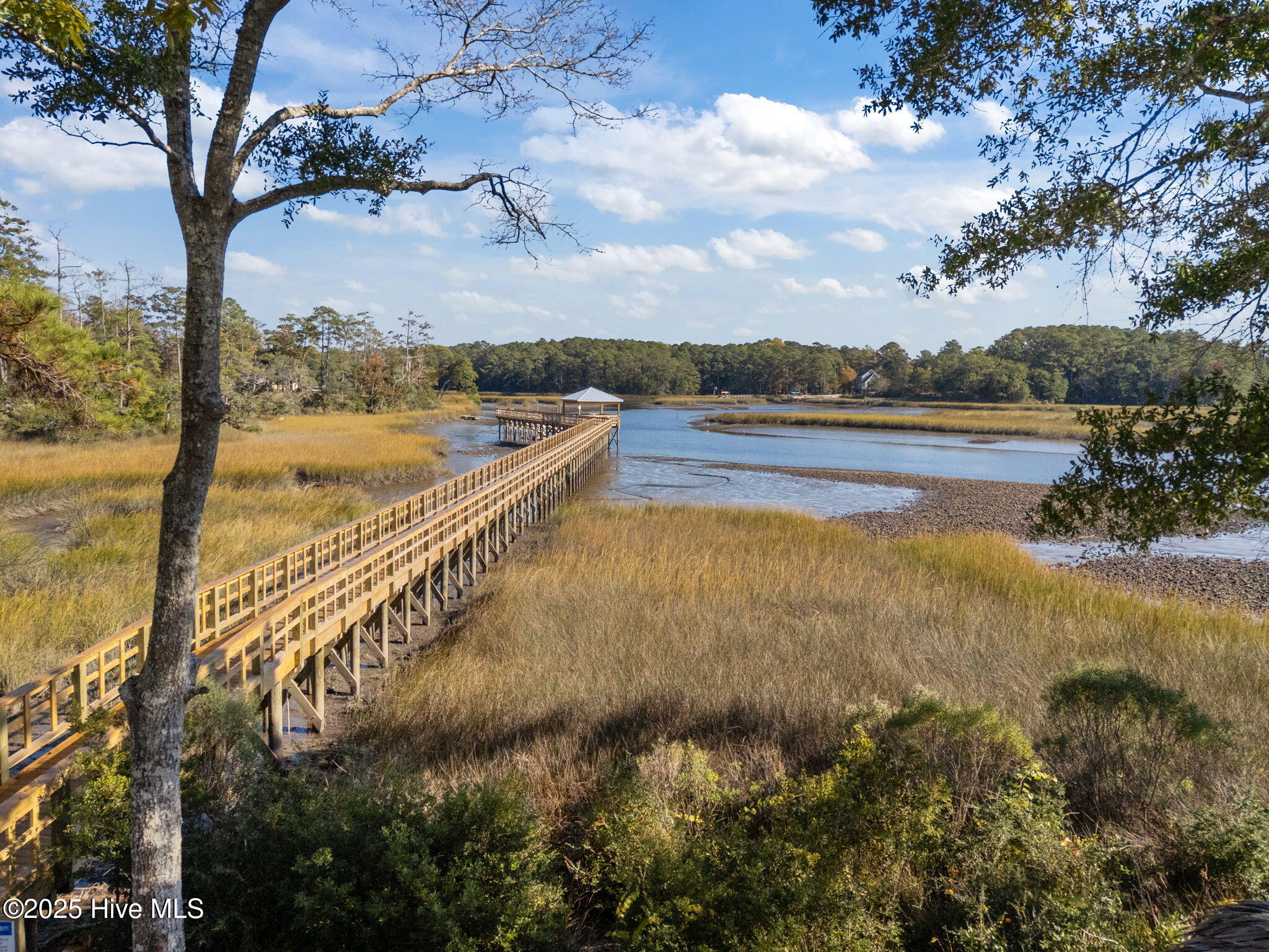 100540381 | Photo 56