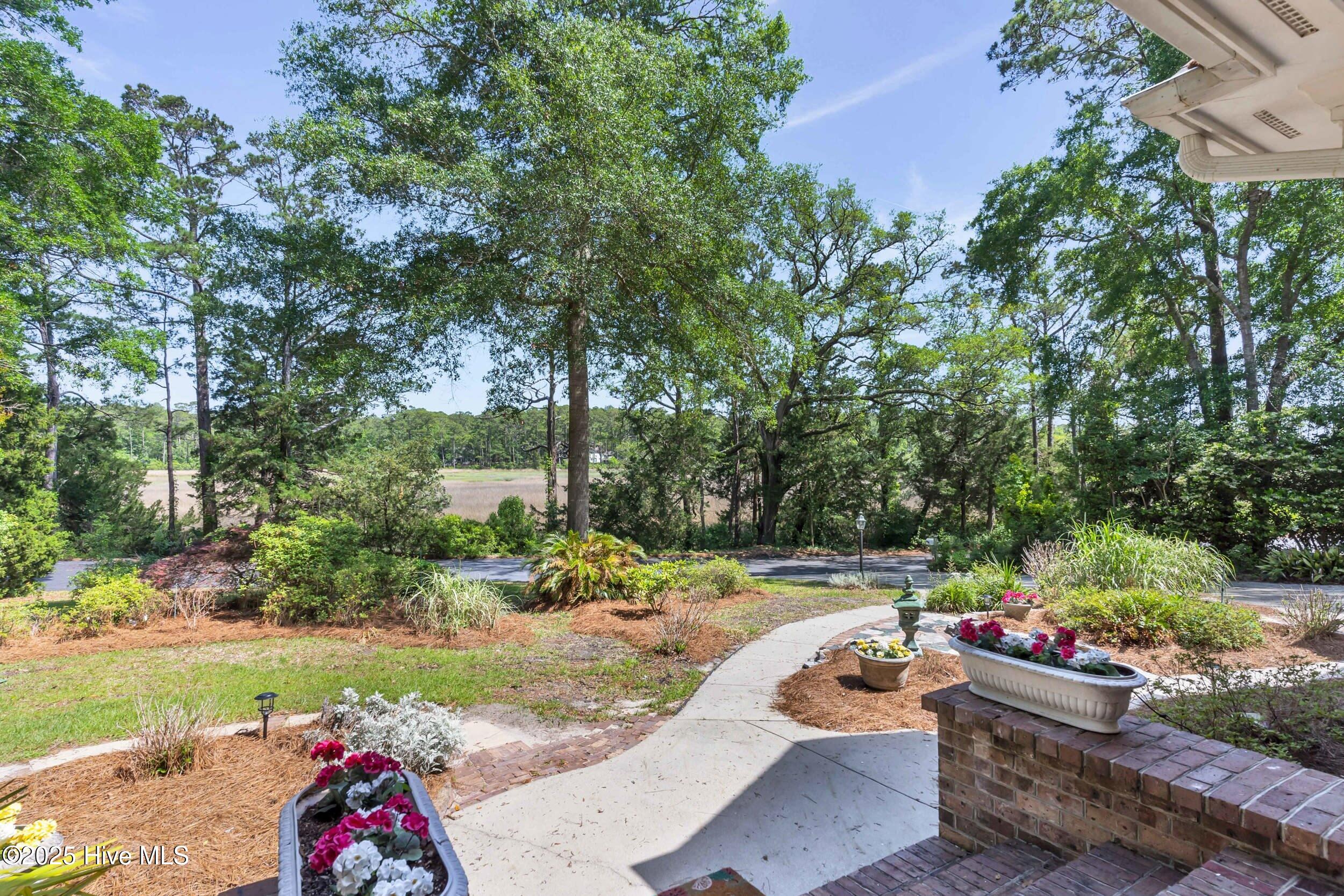 100570378 | Photo 63