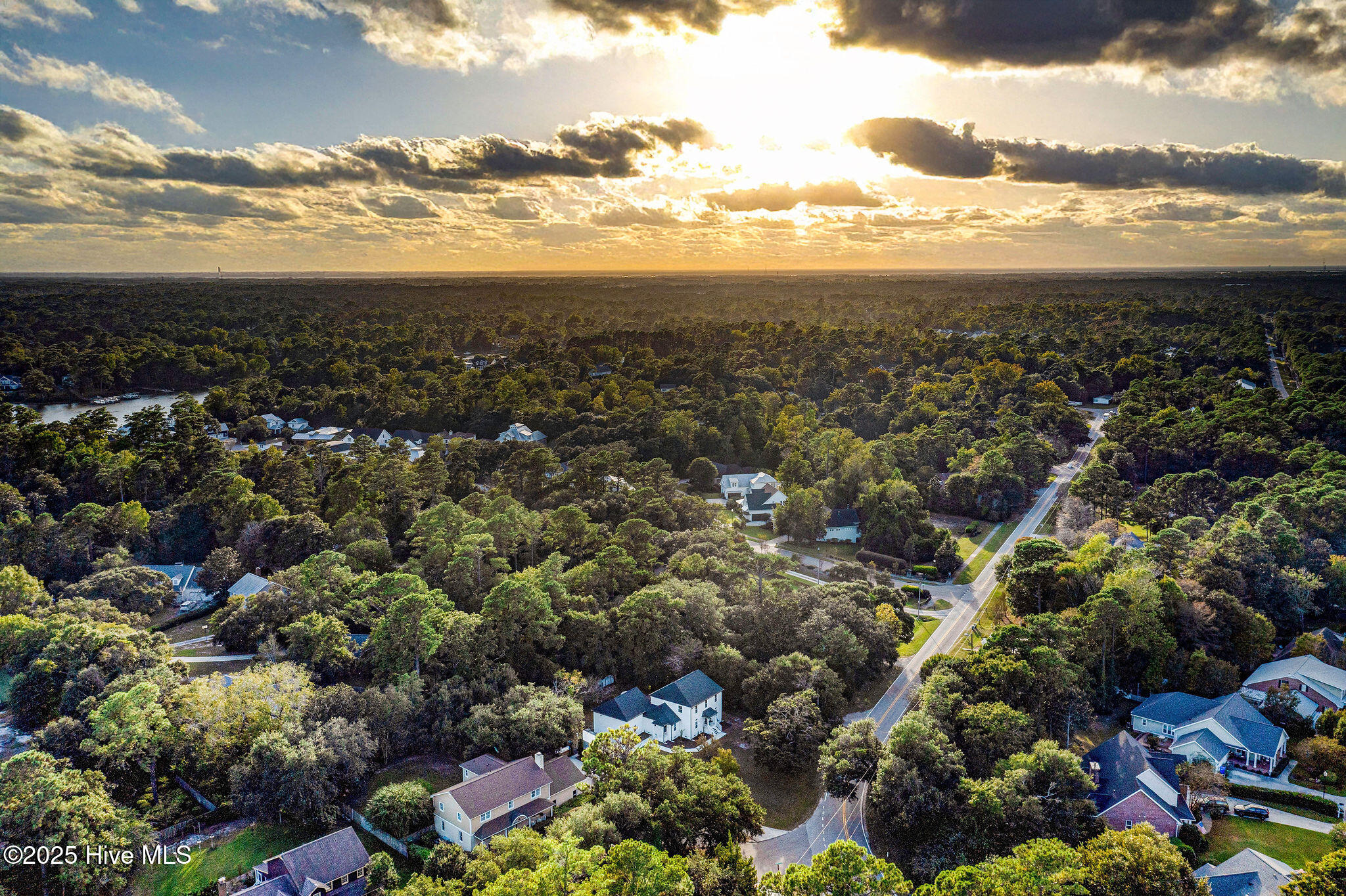 100534059 | Photo 65