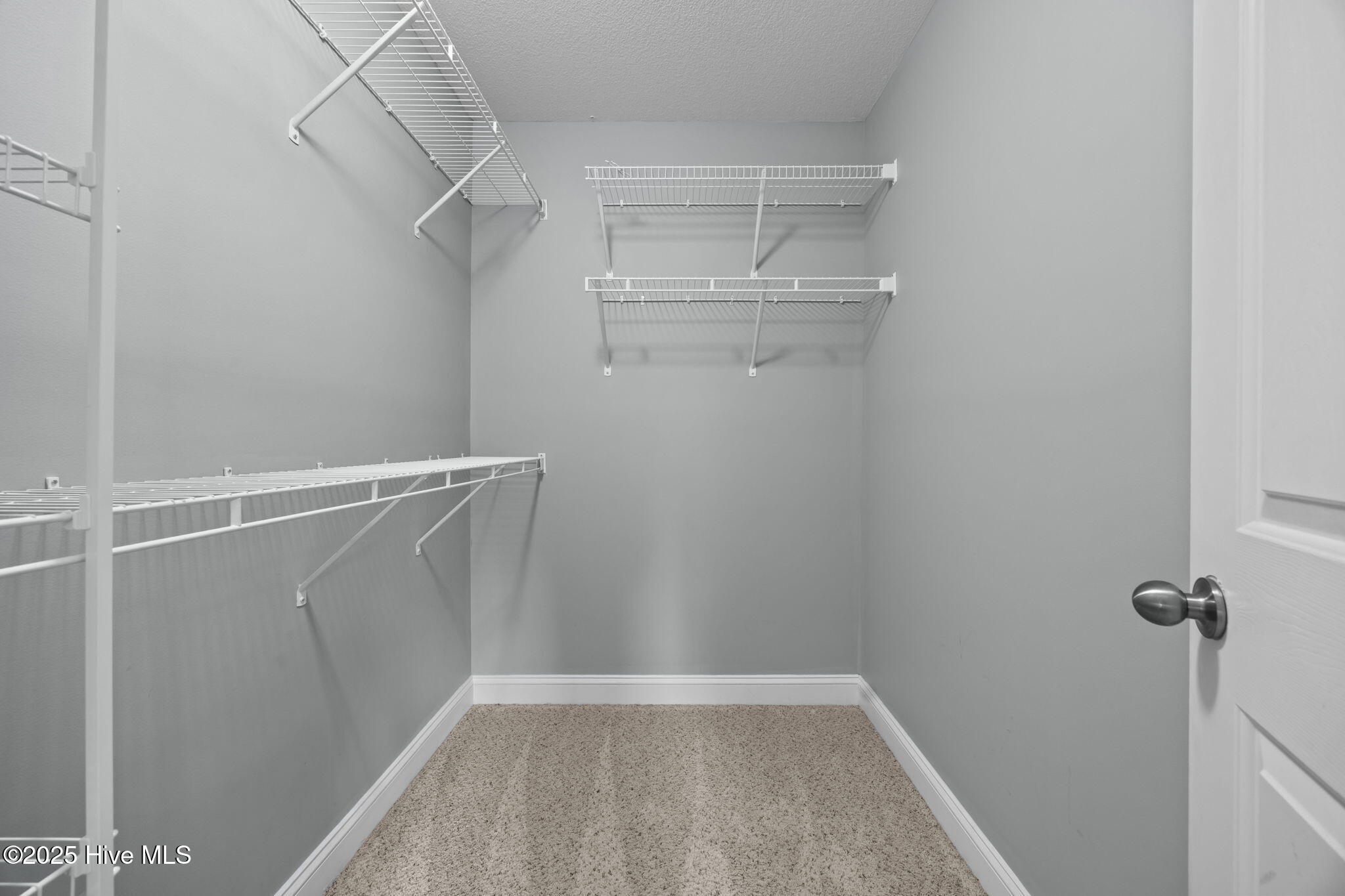 100544131 | Photo 21