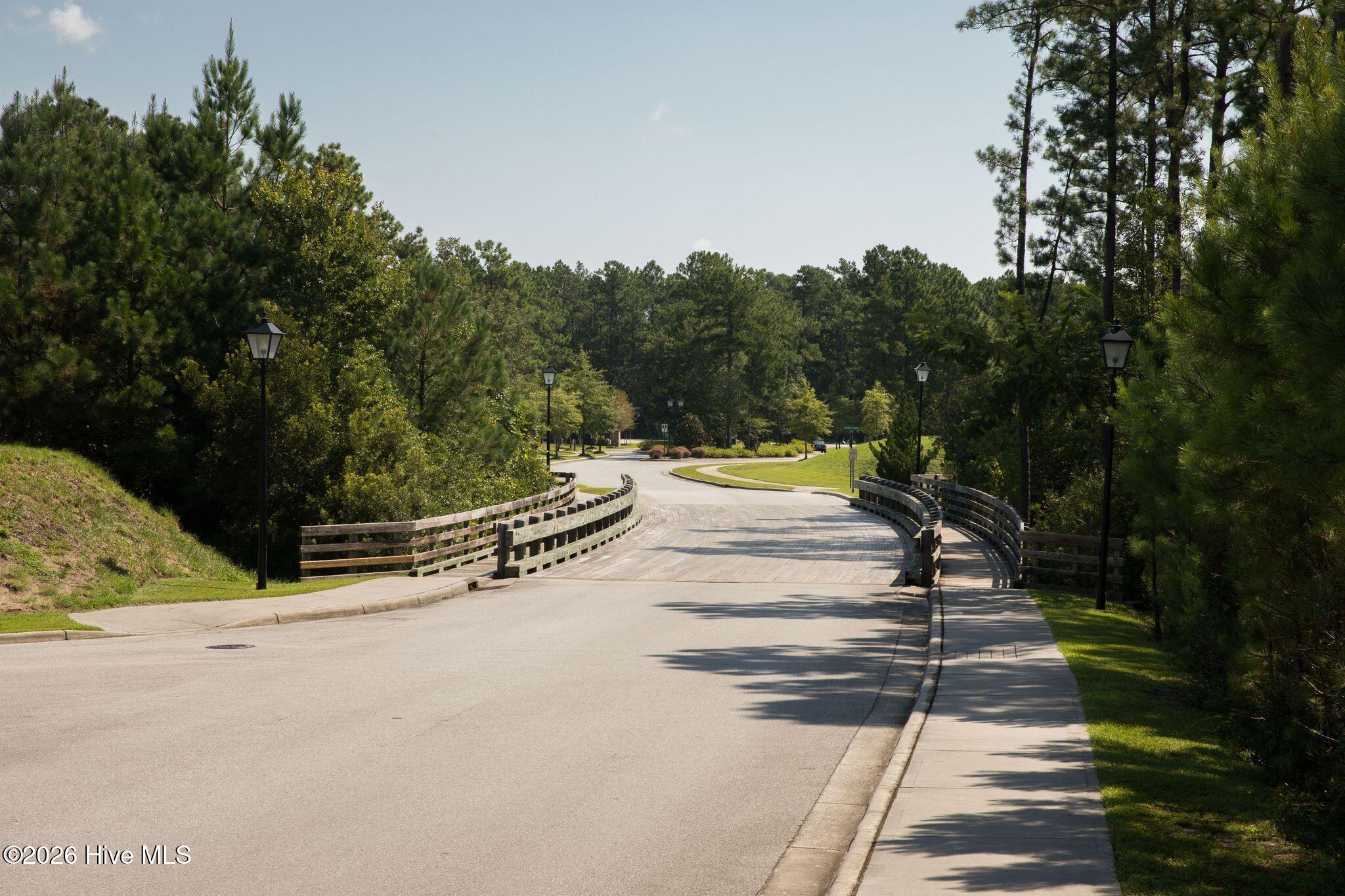 100567646 | Photo 80