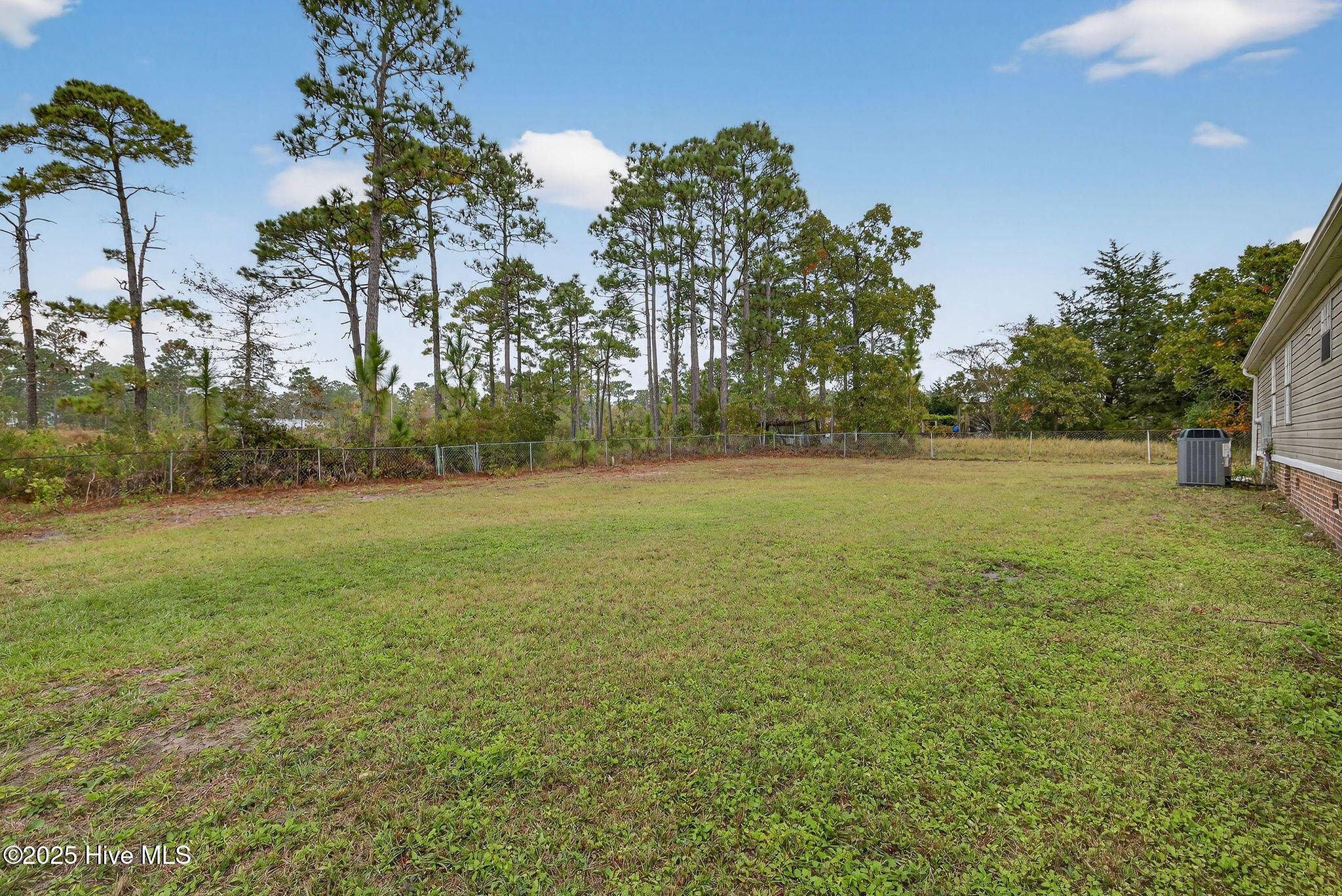 100539132 | Photo 39