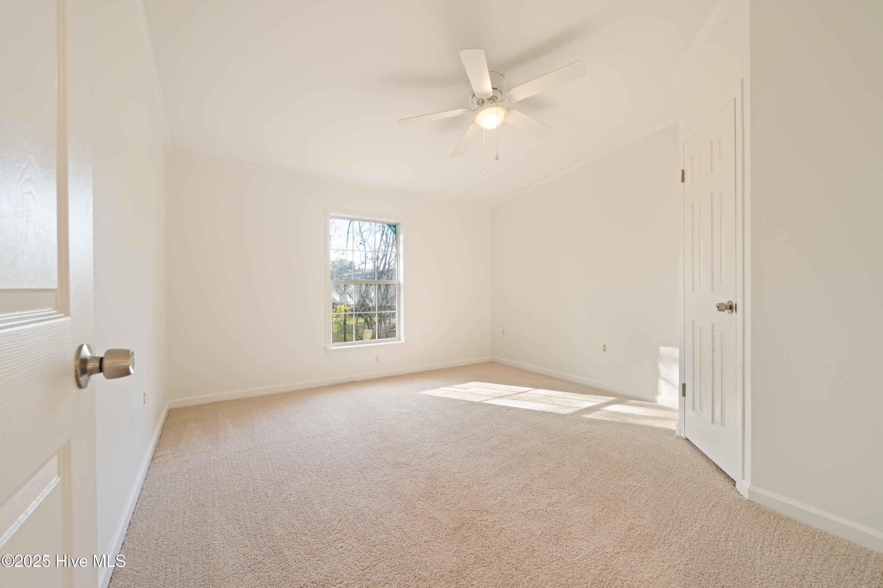 100541471 | Photo 26