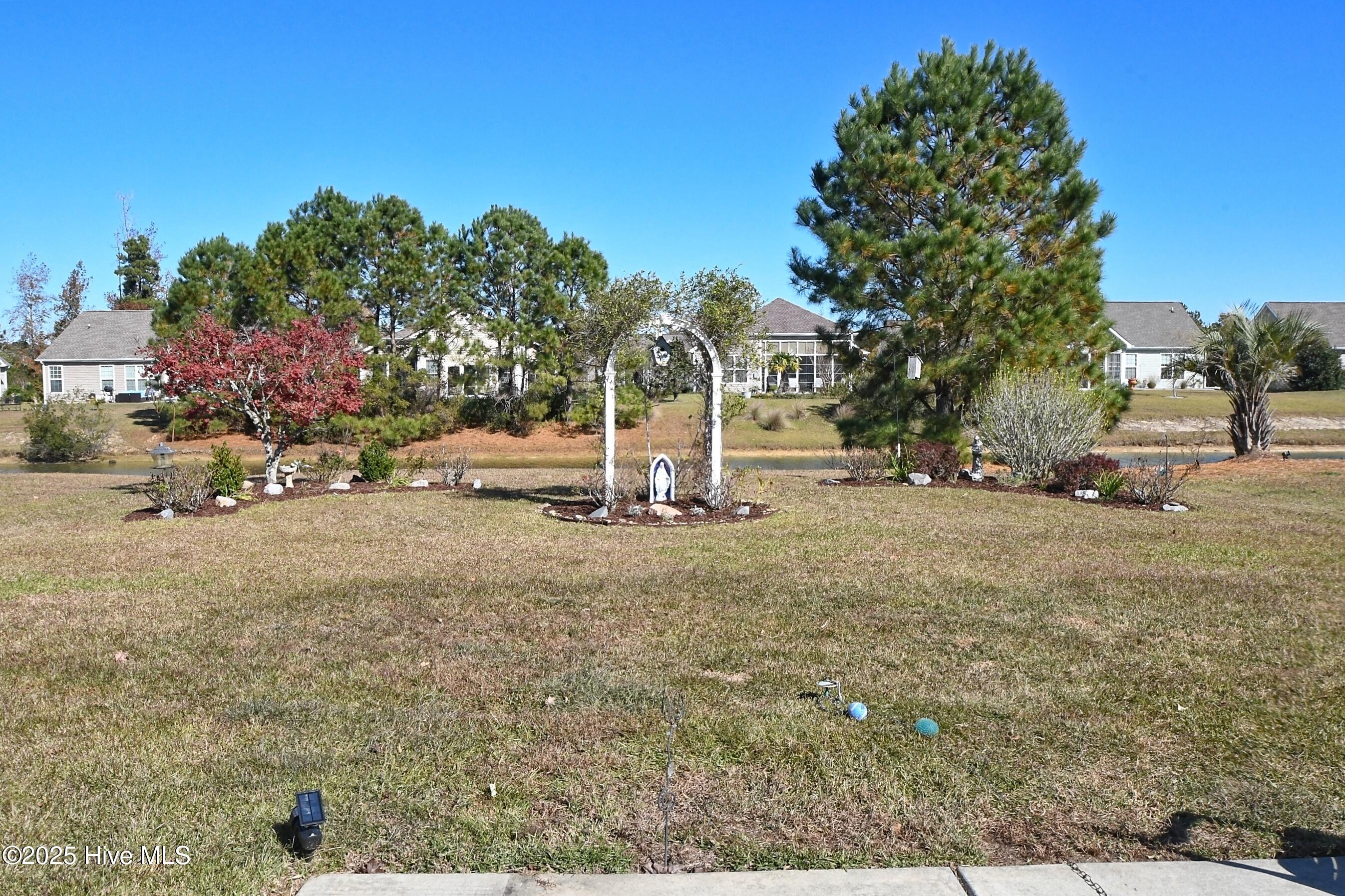 100541260 | Photo 35