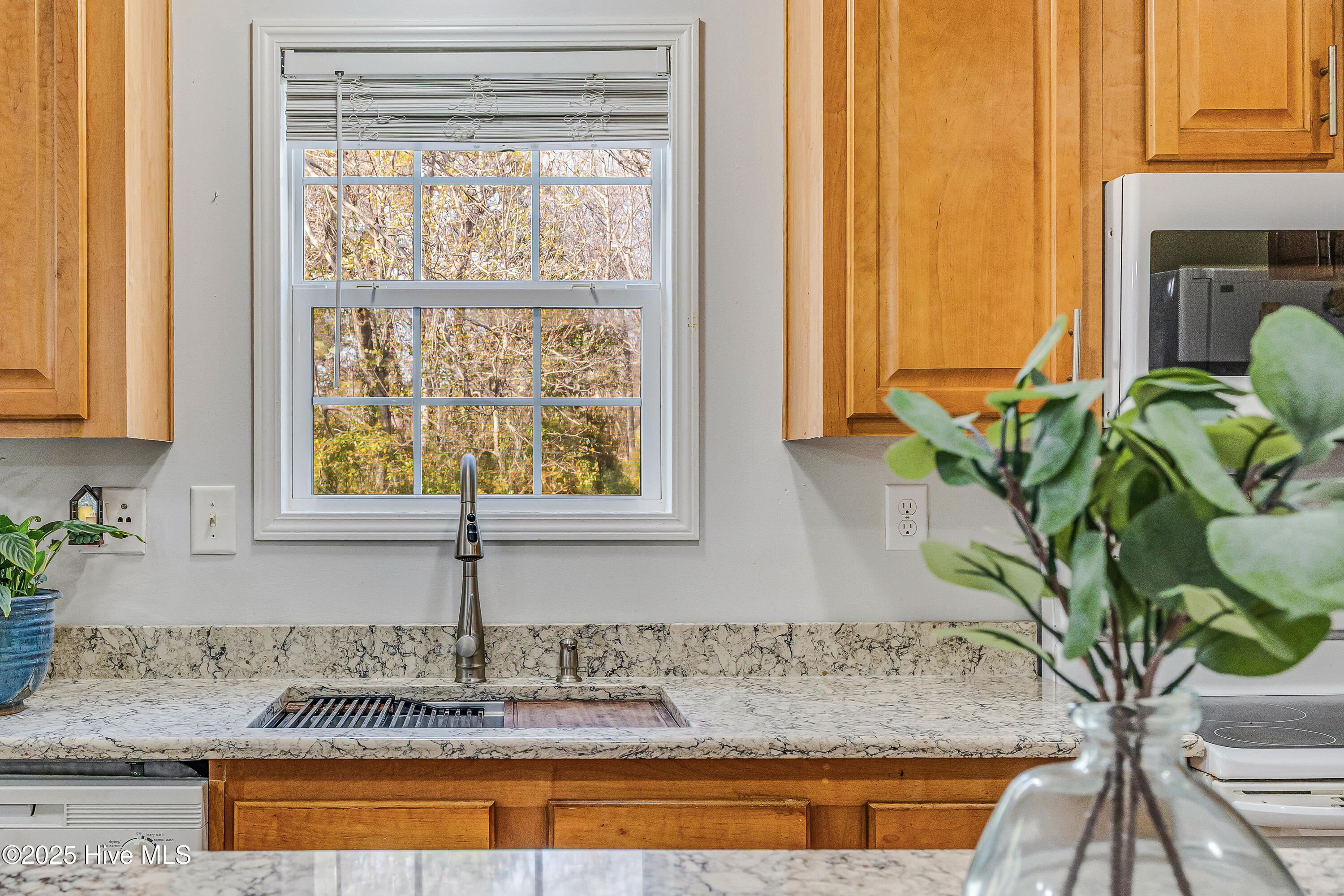 100543271 | Photo 15