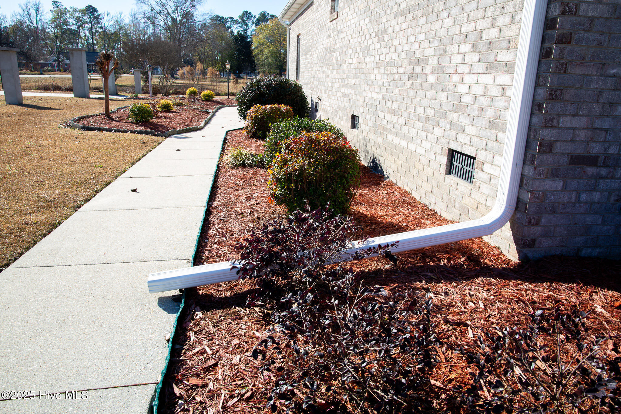 100546342 | Photo 13