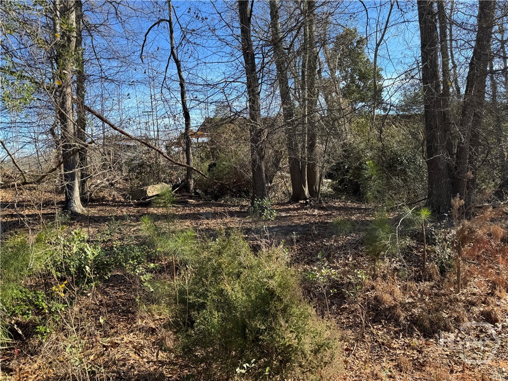 738 Old Mineral Springs Road, Elberton, GA, 30635