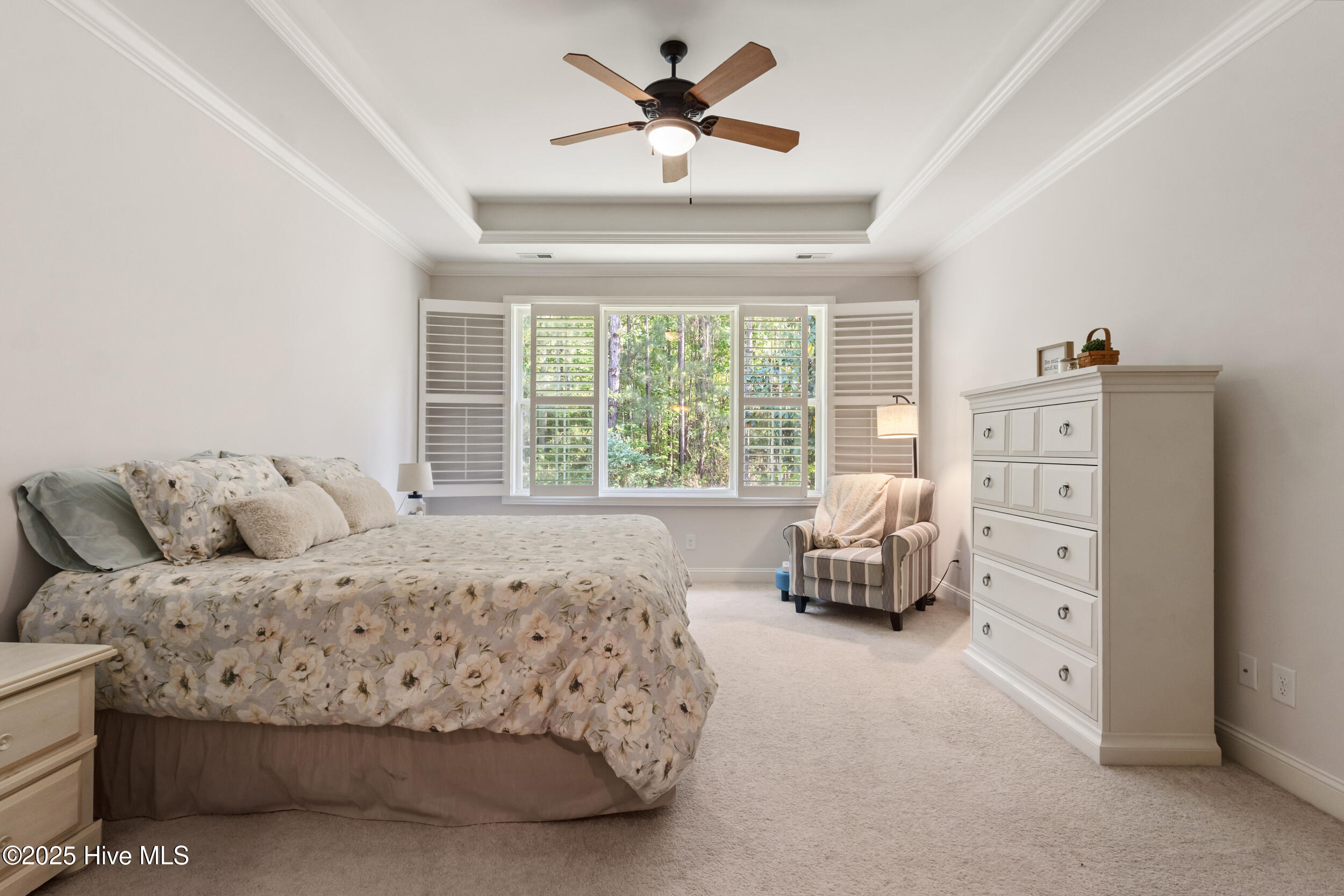 100506544 | Photo 23