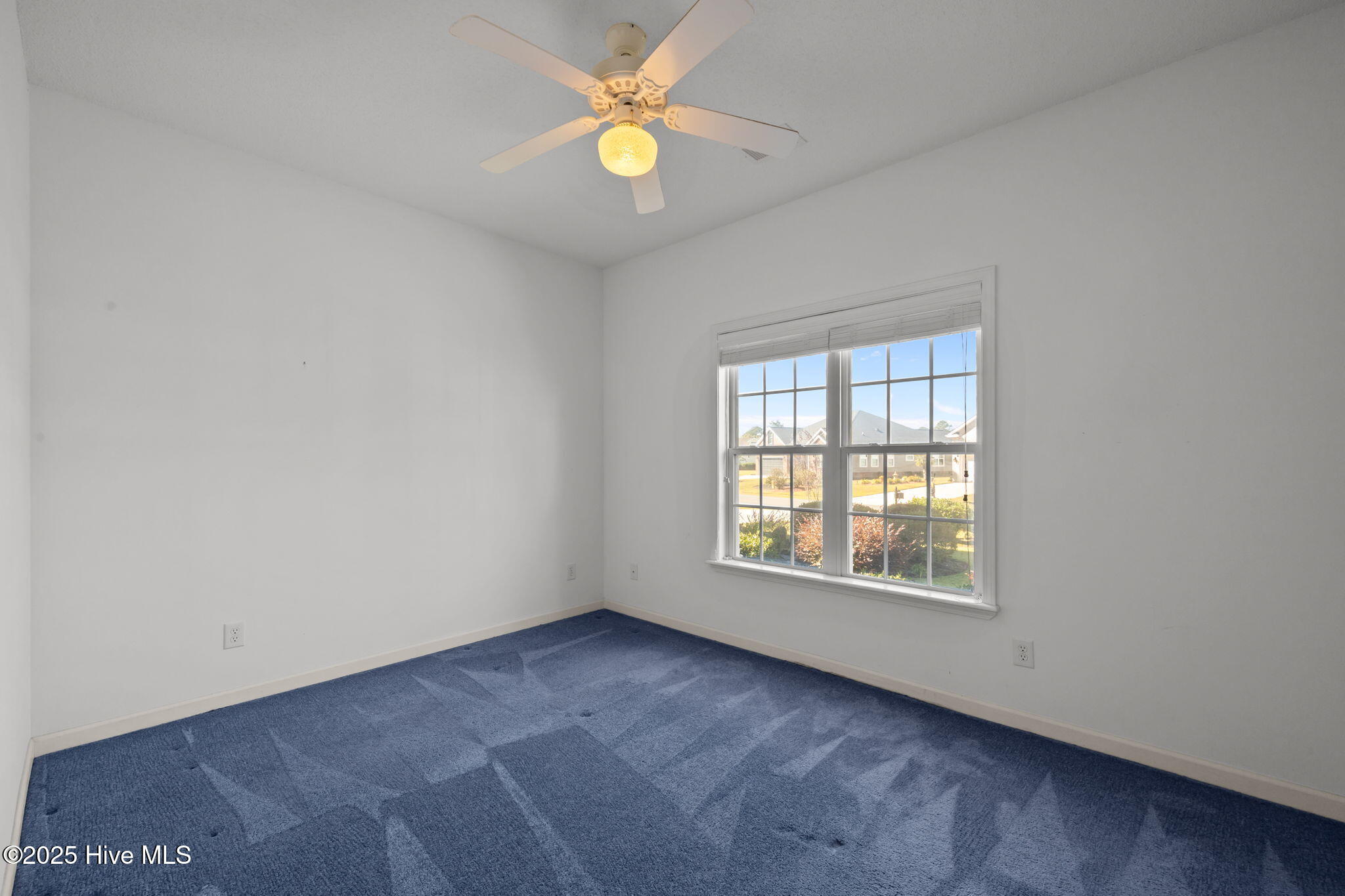 100539449 | Photo 12