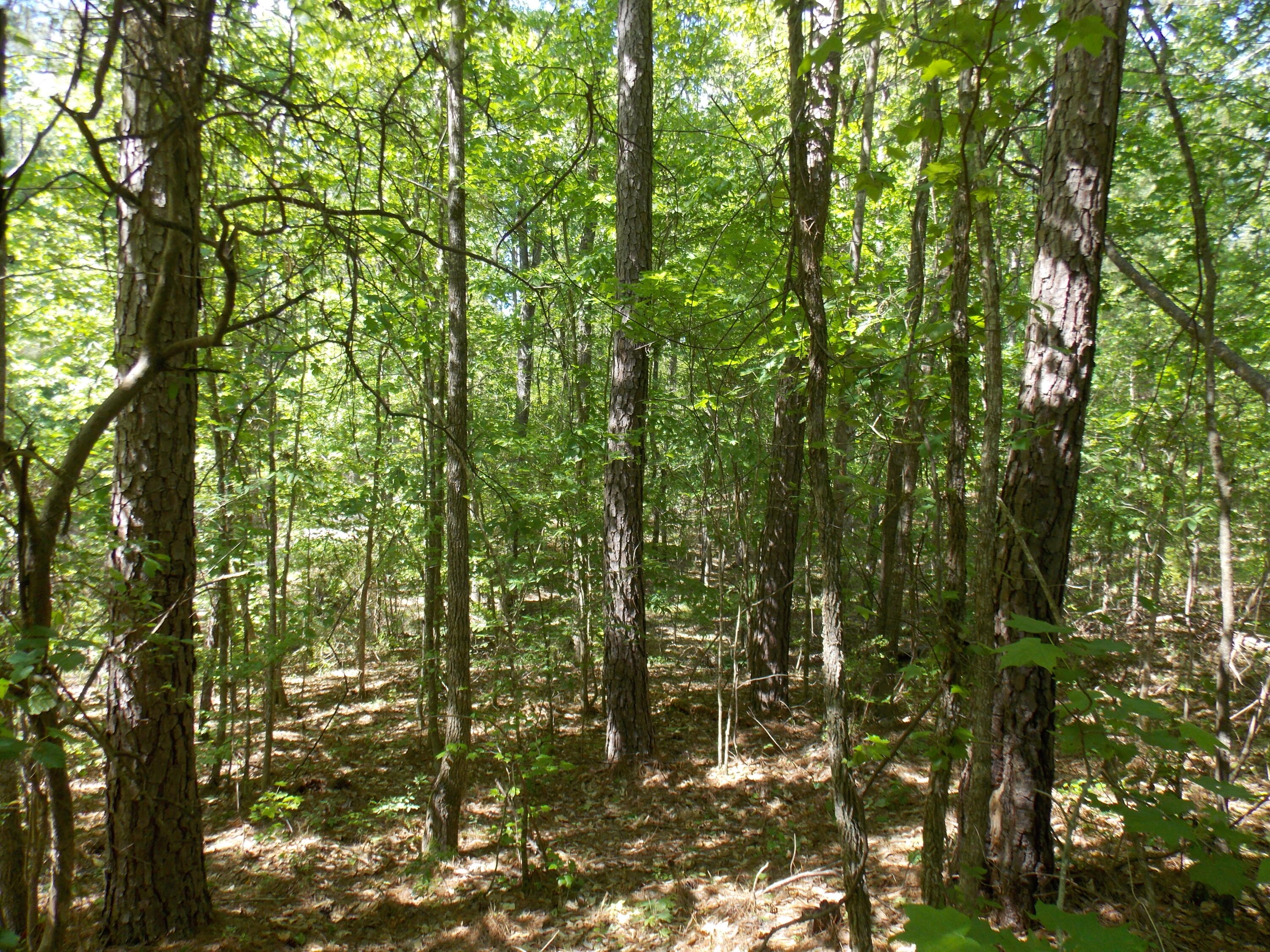 12 DOE RUN, Lincolnton, GA, 30817