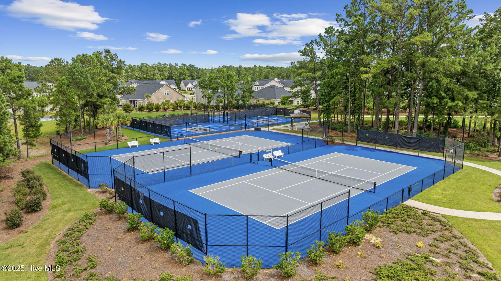 100523904 | Photo 50