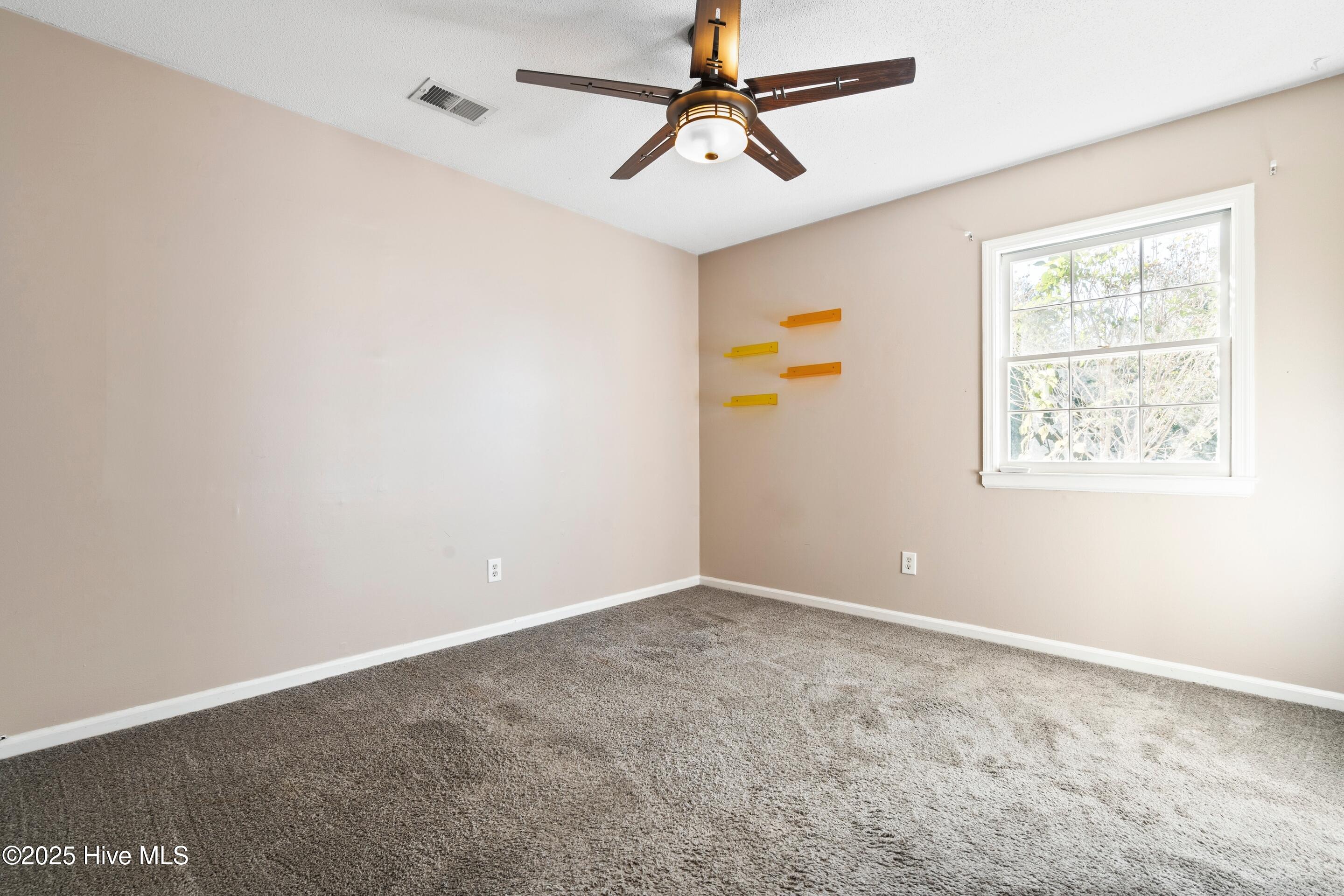 100546028 | Photo 37