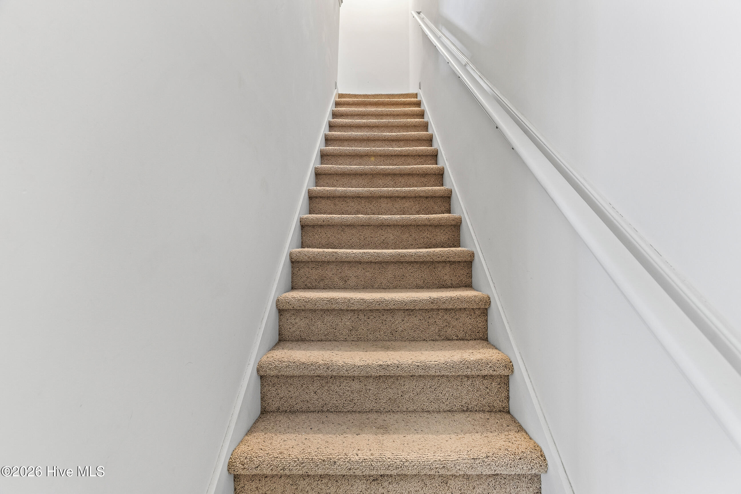 100561712 | Photo 13