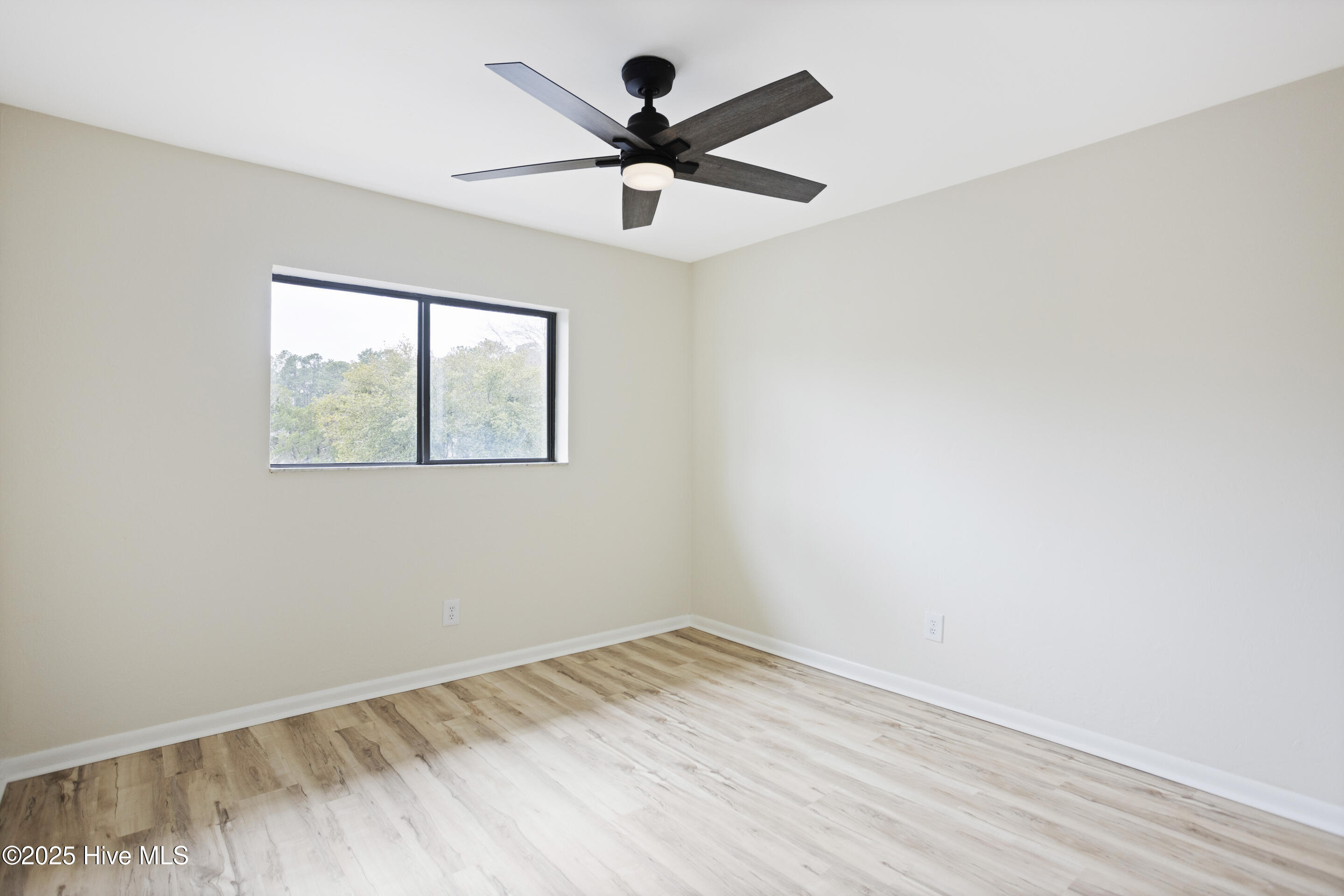 100537124 | Photo 21