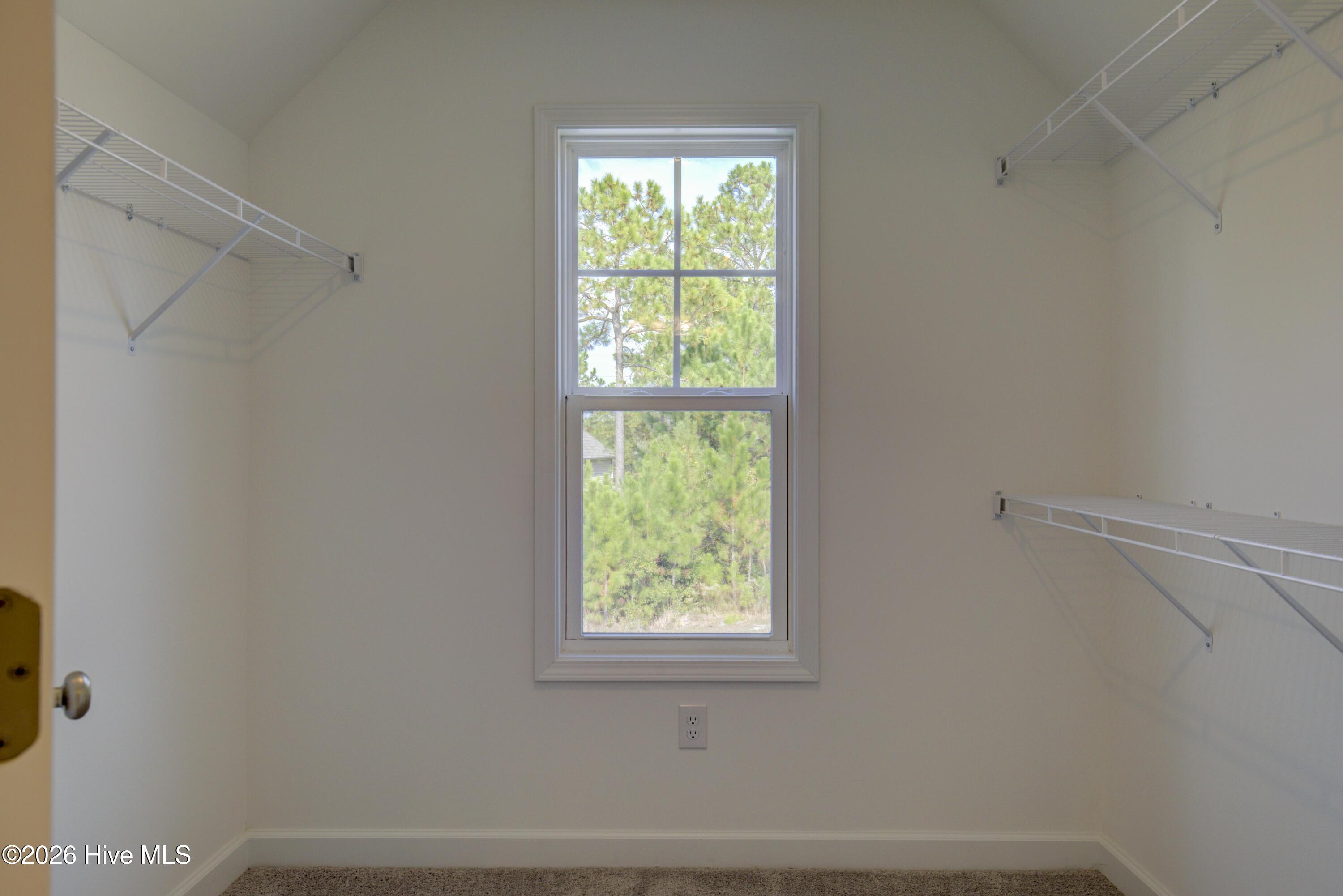 100547415 | Photo 19