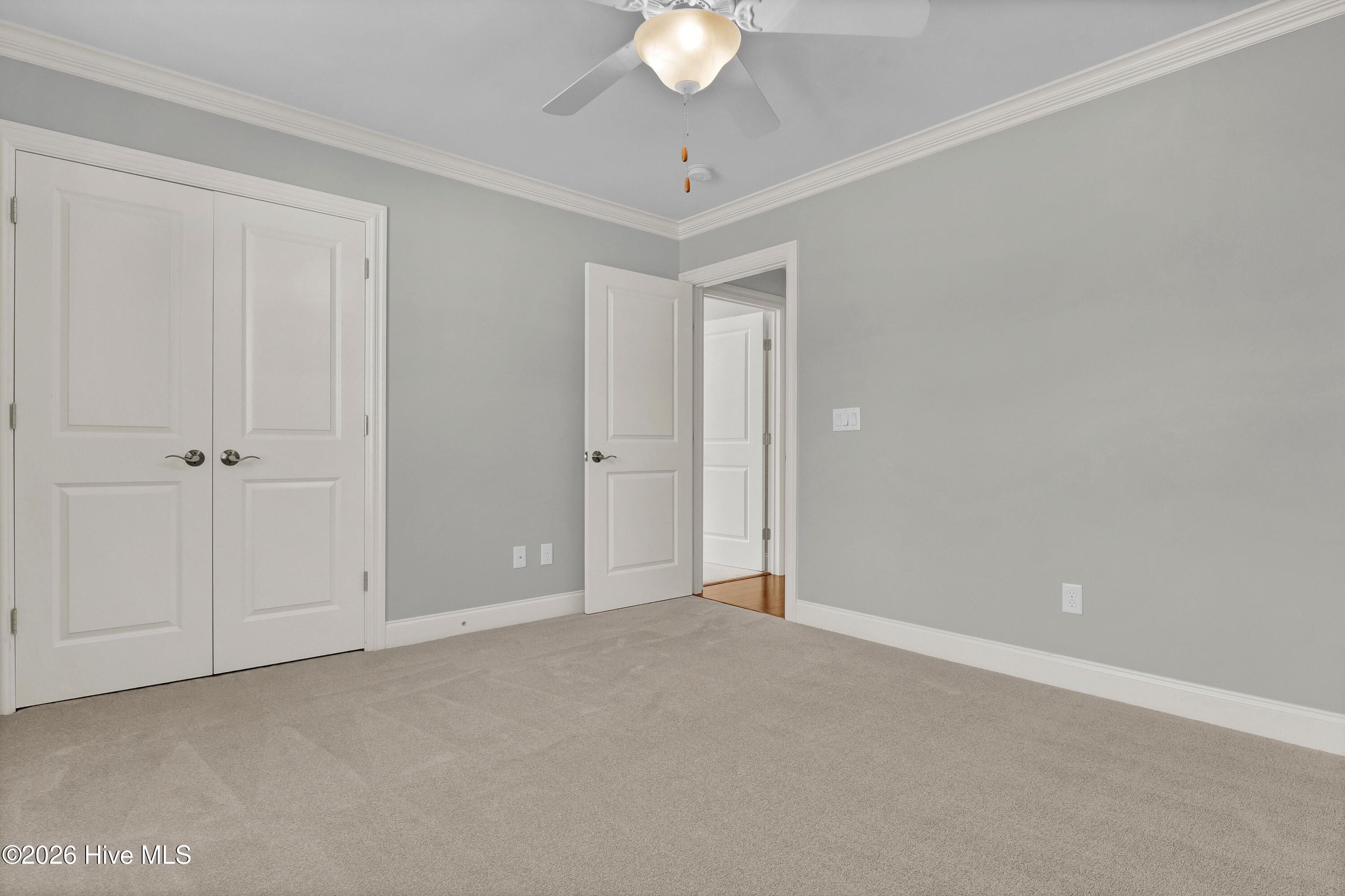 100560728 | Photo 18