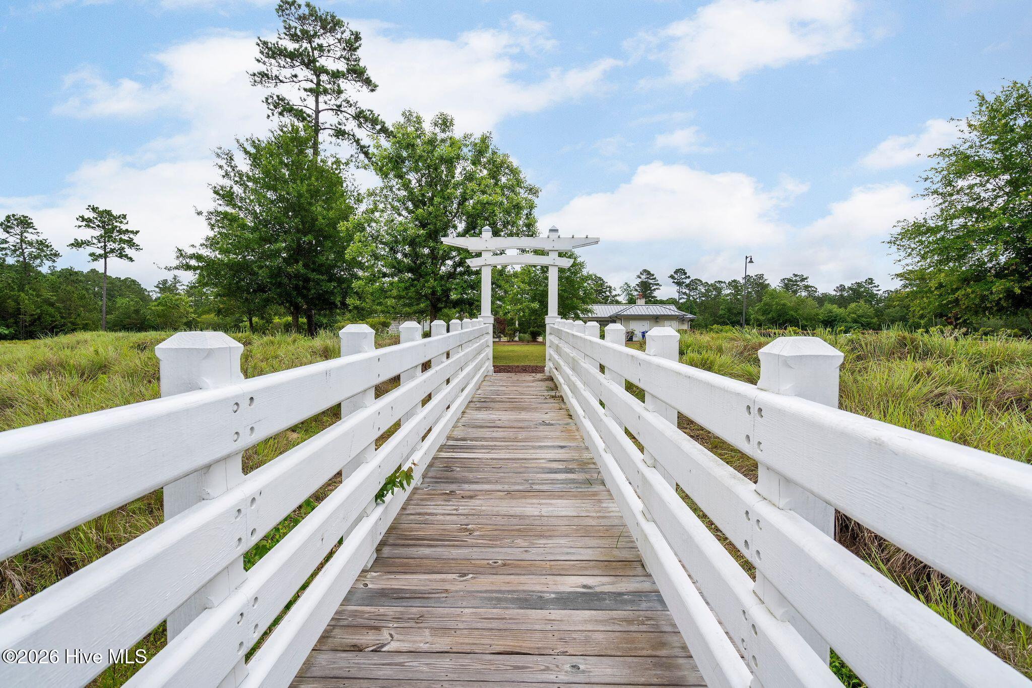 100559080 | Photo 101