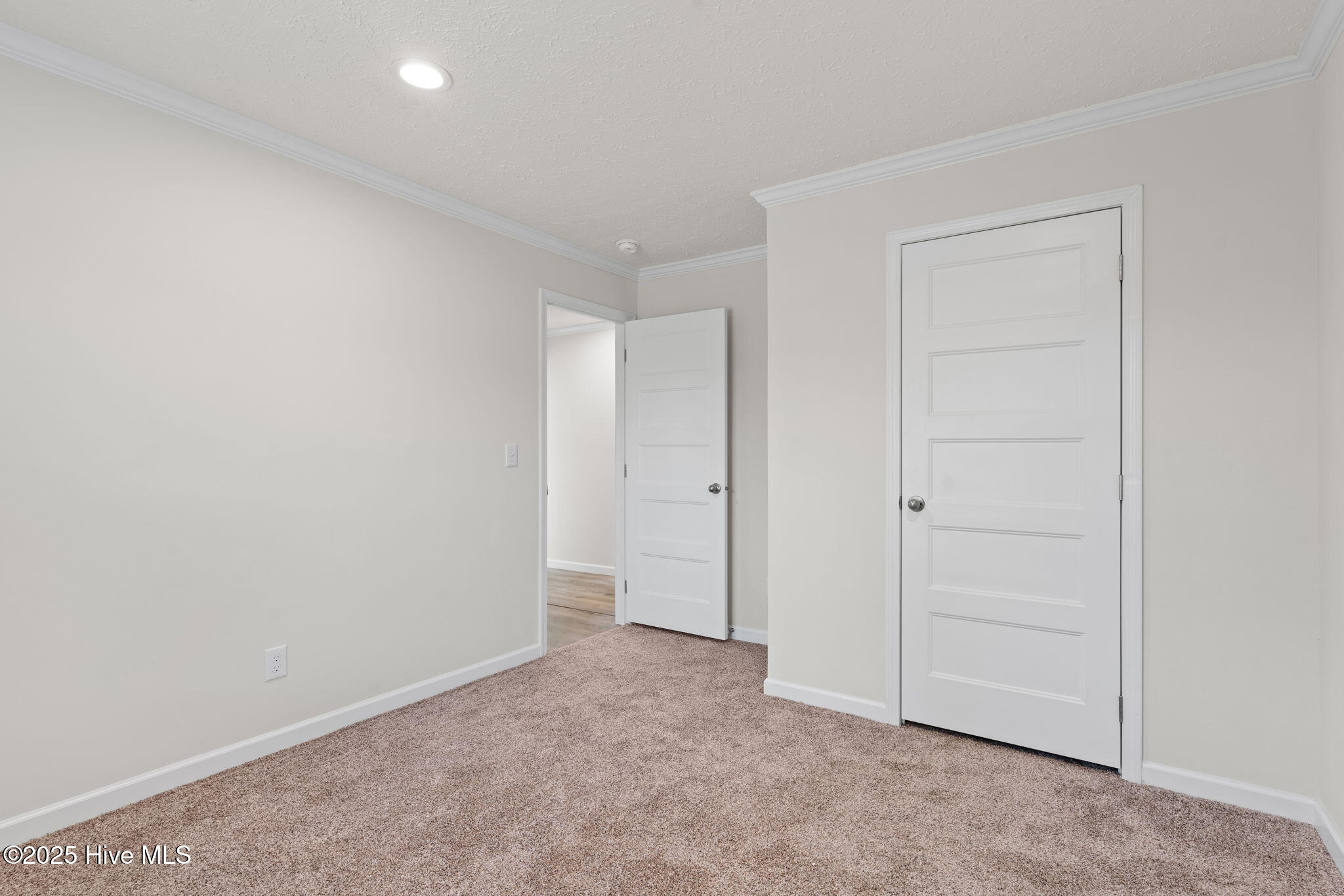 100558290 | Photo 28