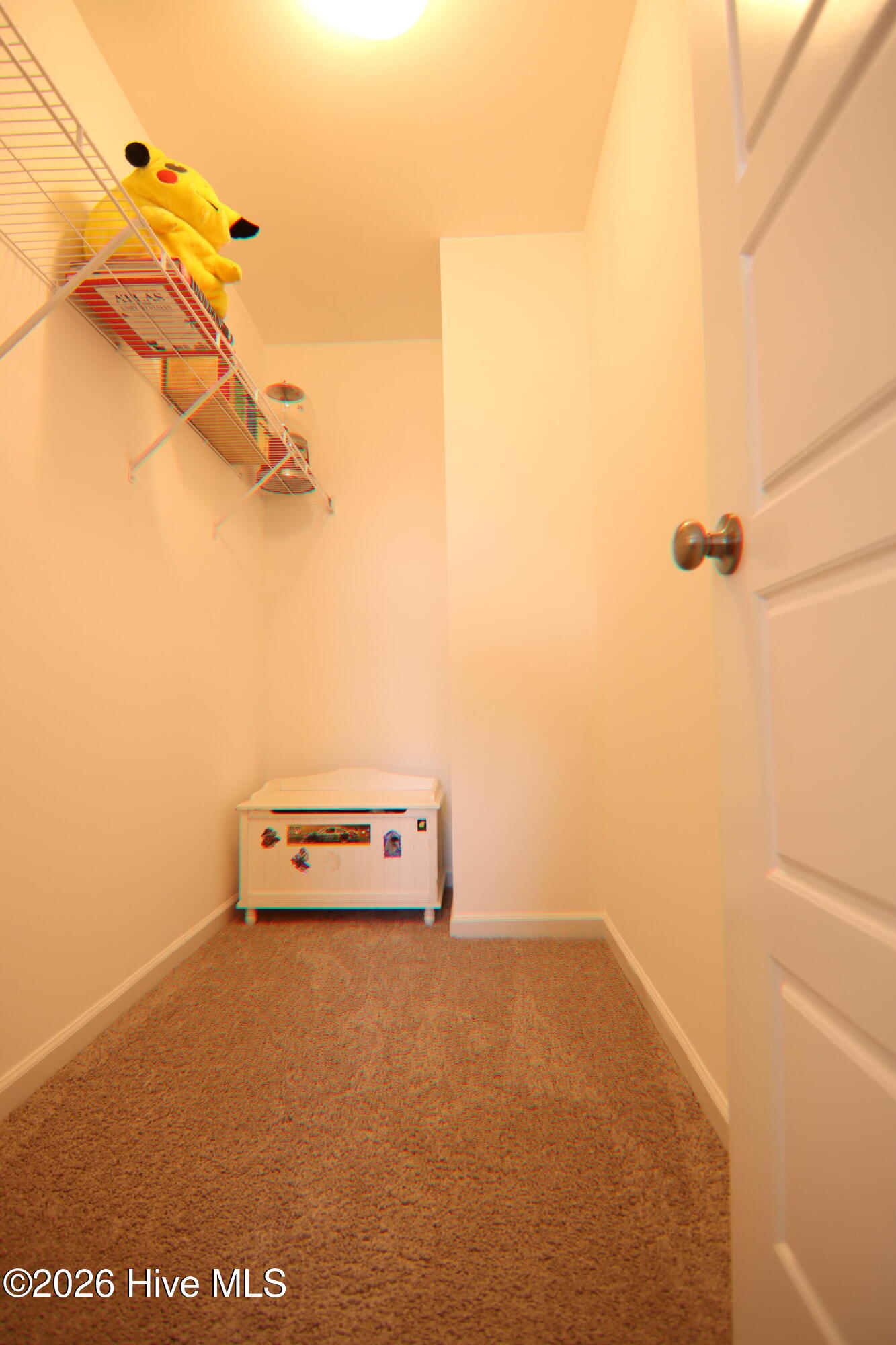 100565825 | Photo 28