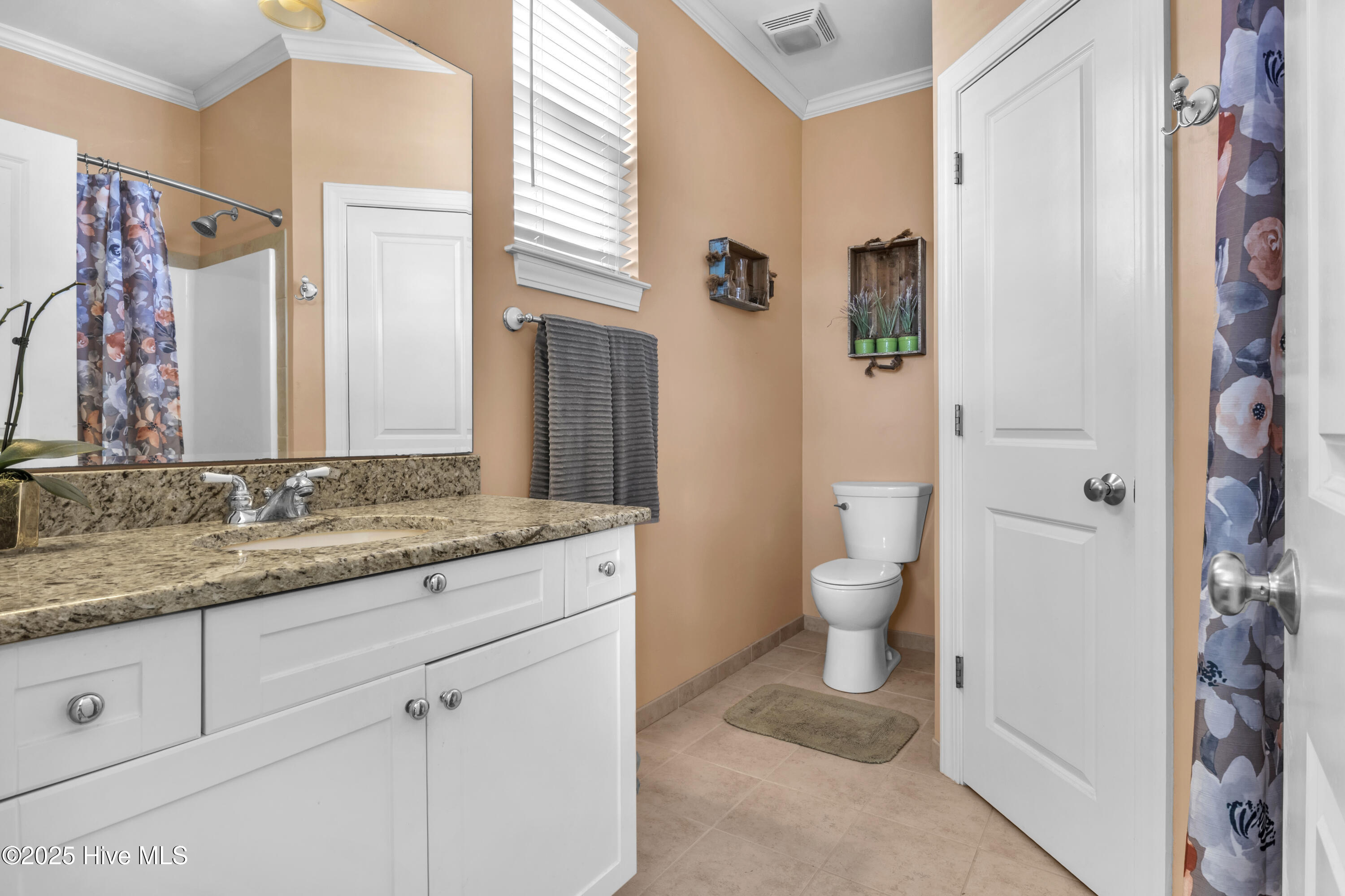 100529504 | Photo 25