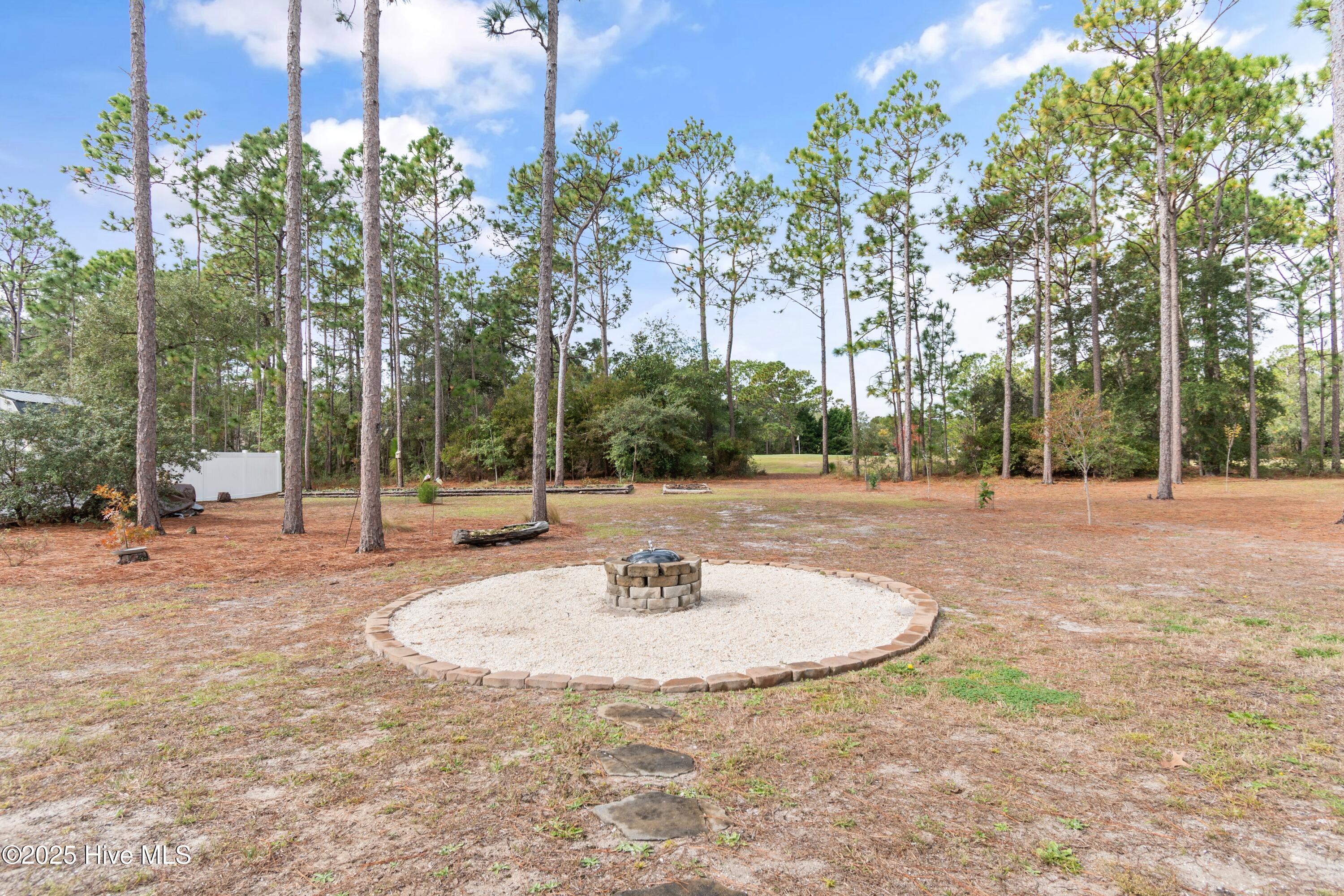 100539694 | Photo 30