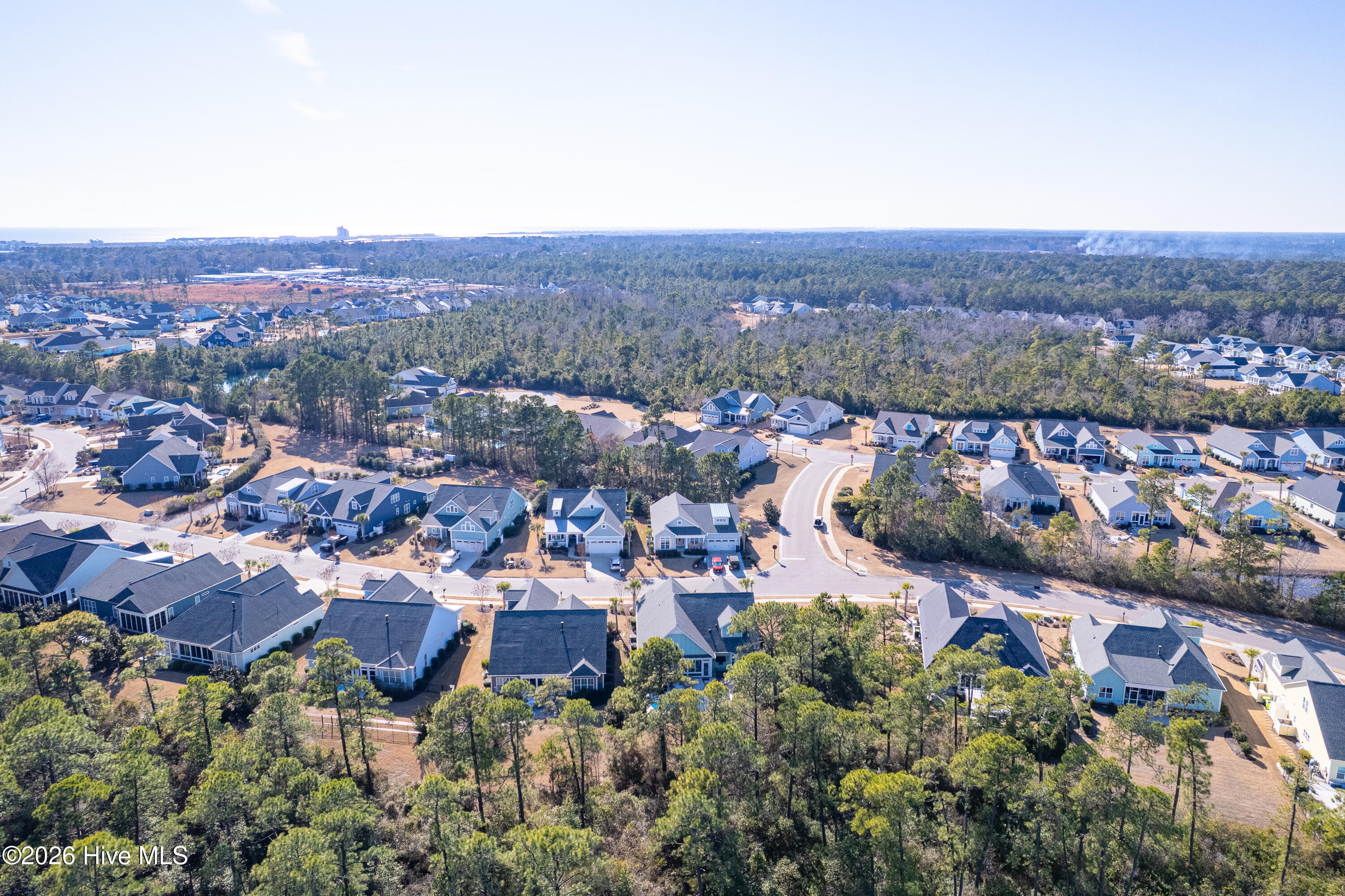 100551306 | Photo 73