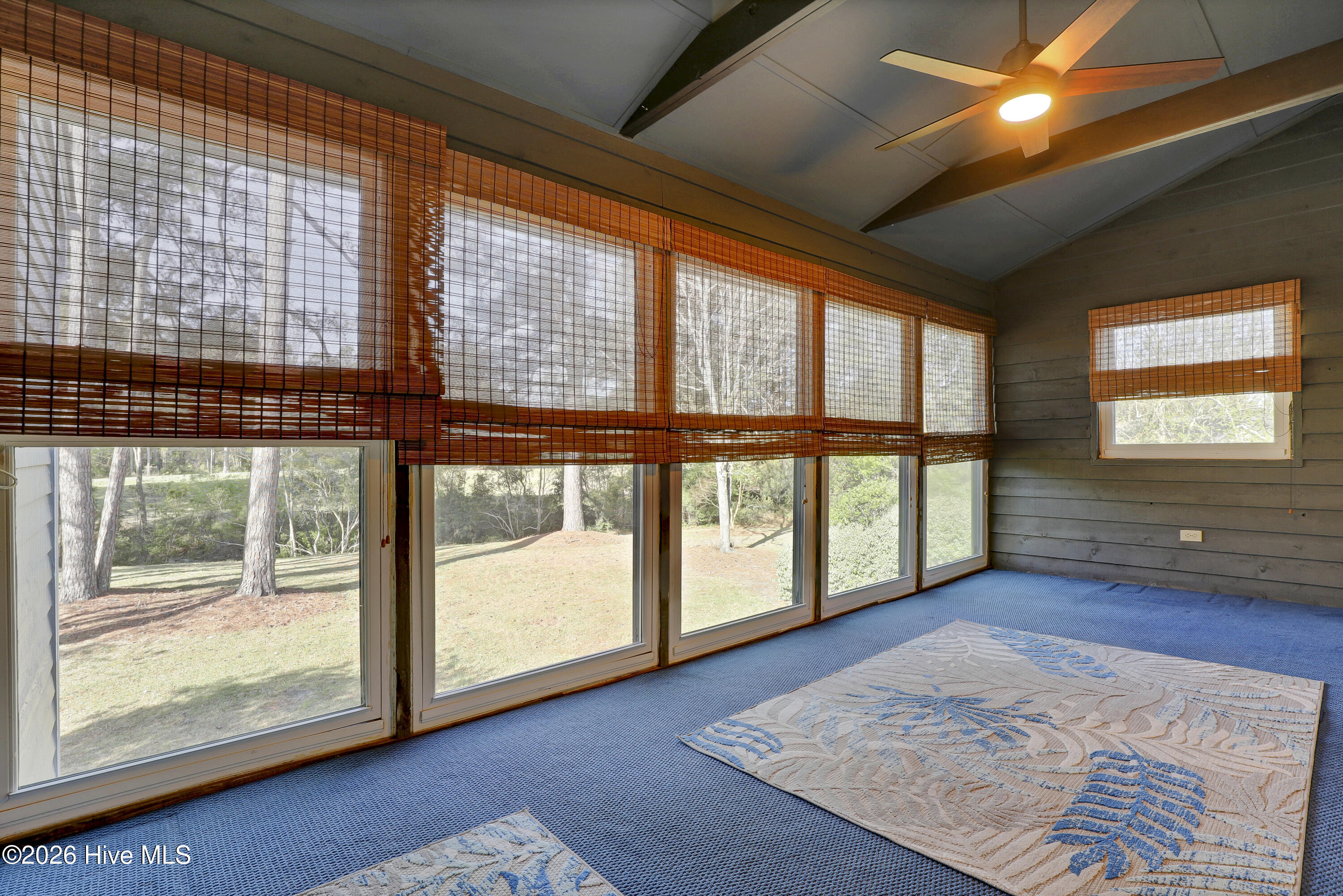 100565686 | Photo 13