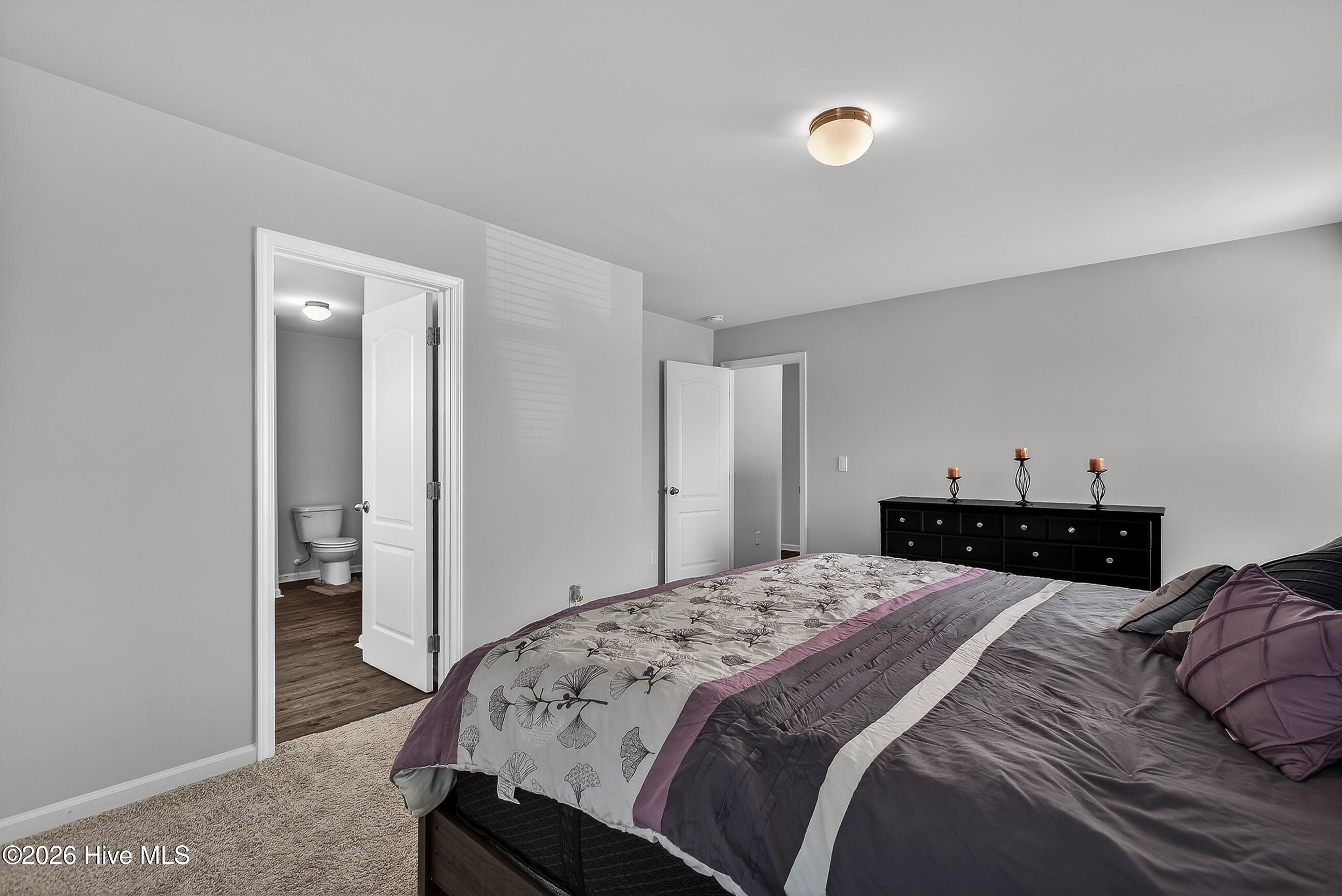 100555689 | Photo 24