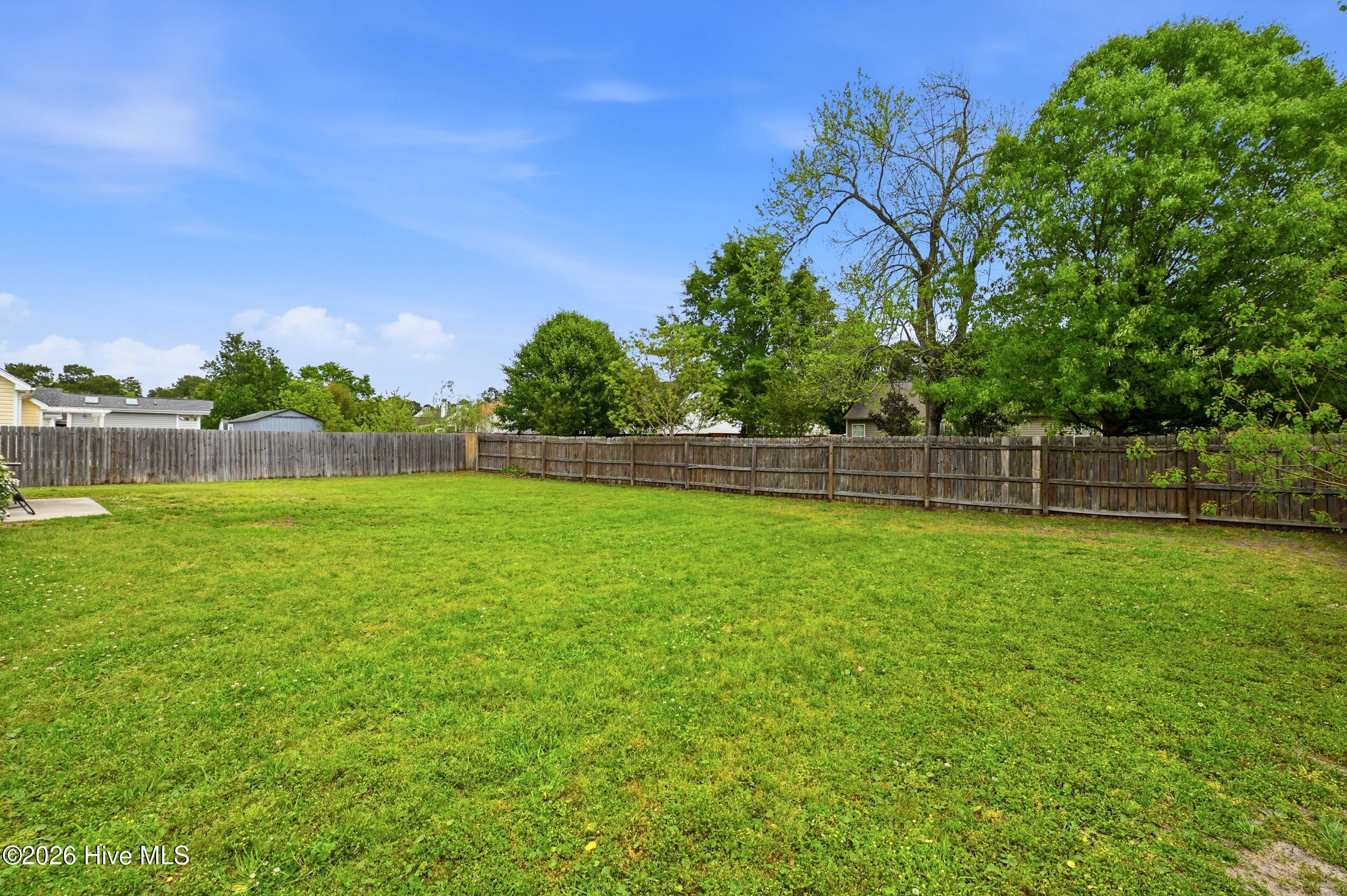 100565195 | Photo 39