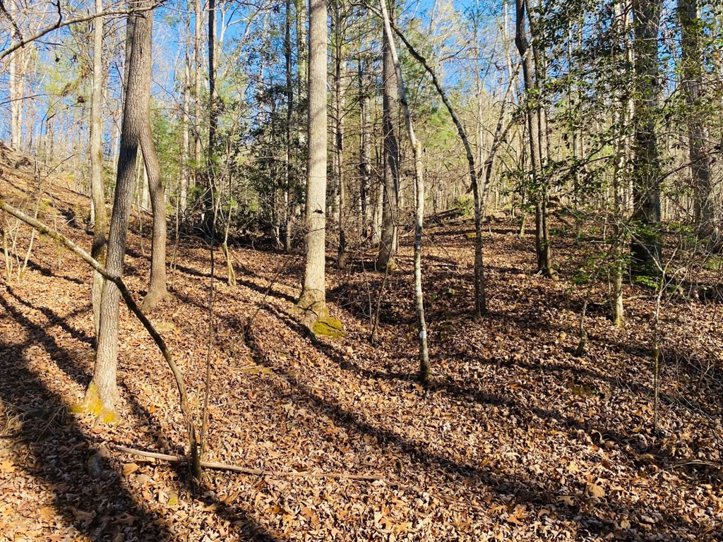 Exterior photo of Lot 205 Windy Mountain Peak Lane, Murphy, NC 28906. MLS: 98523862