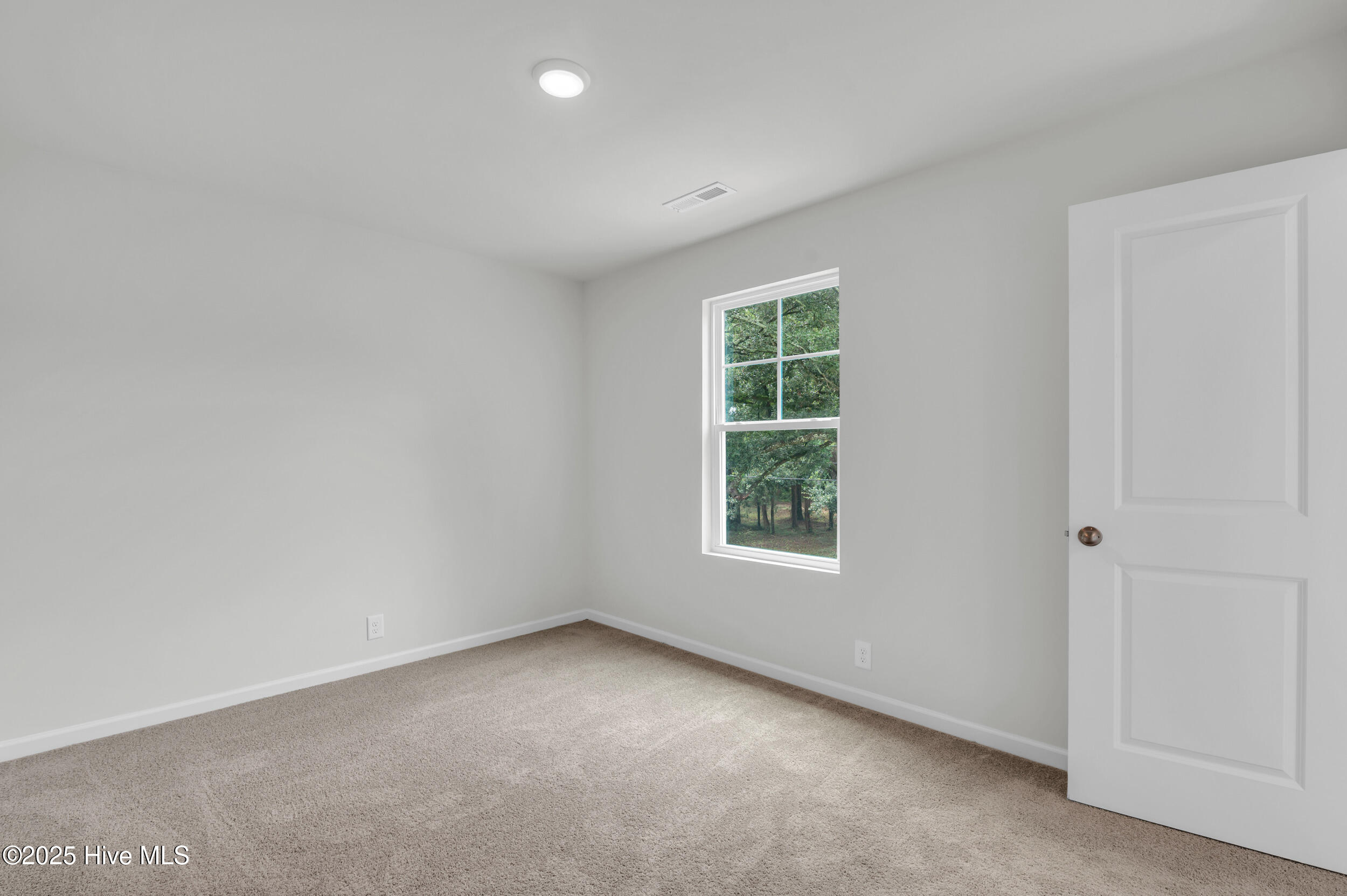 100522861 | Photo 14